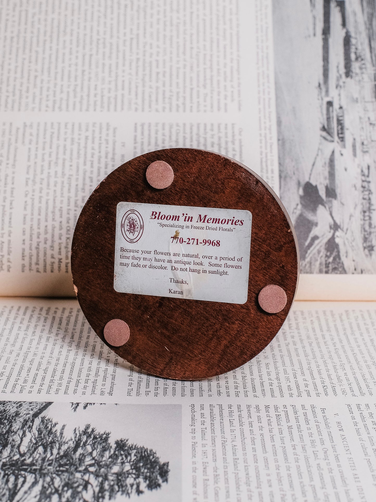 Vintage 1980s Preserved Rose Glass Cloche Display