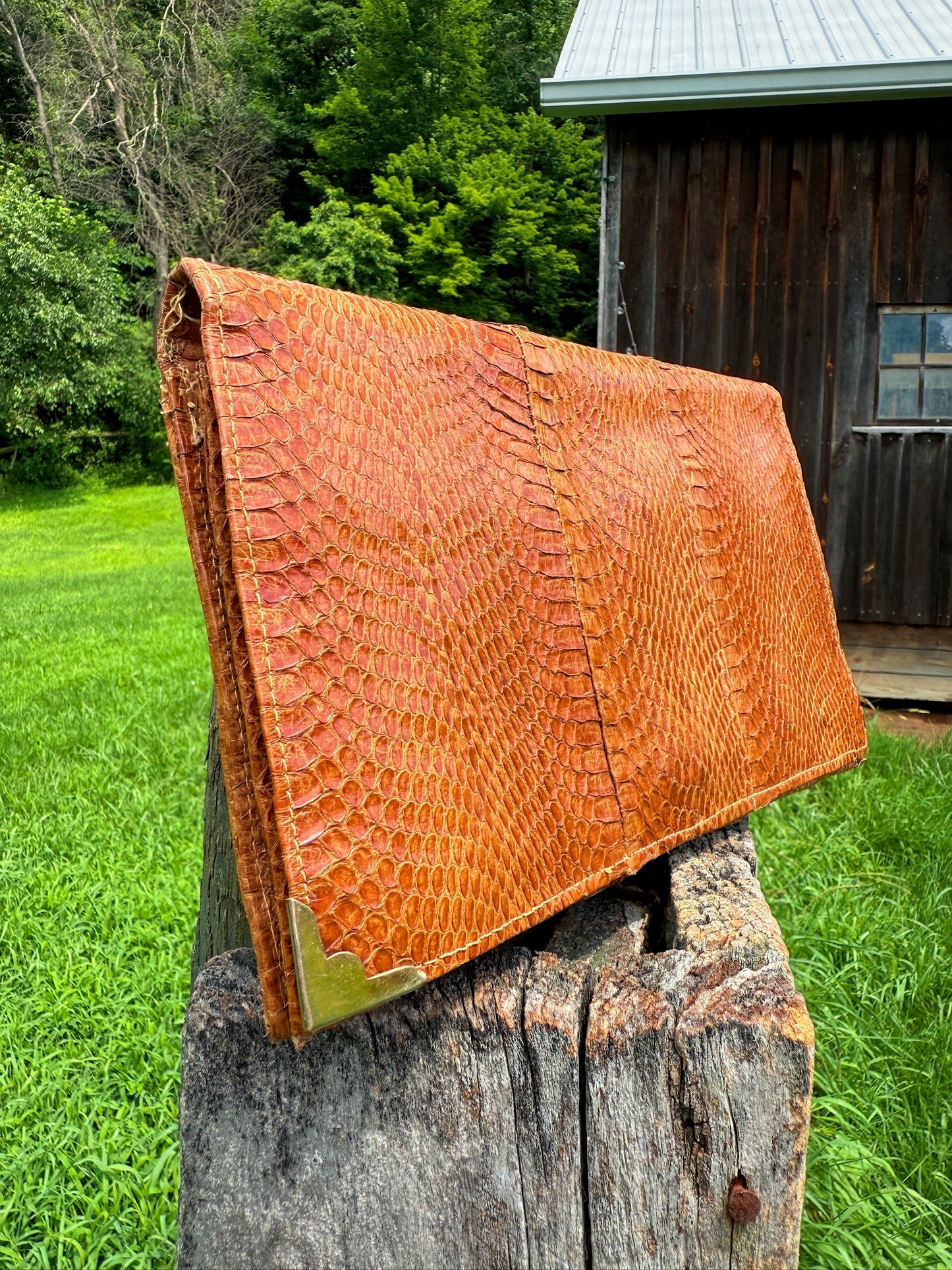 Vintage 1940s Brown Genuine Snakeskin Clutch