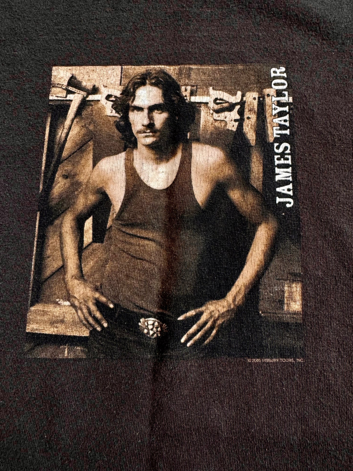2000s James Taylor Brown Cotton Graphic Tee | Small