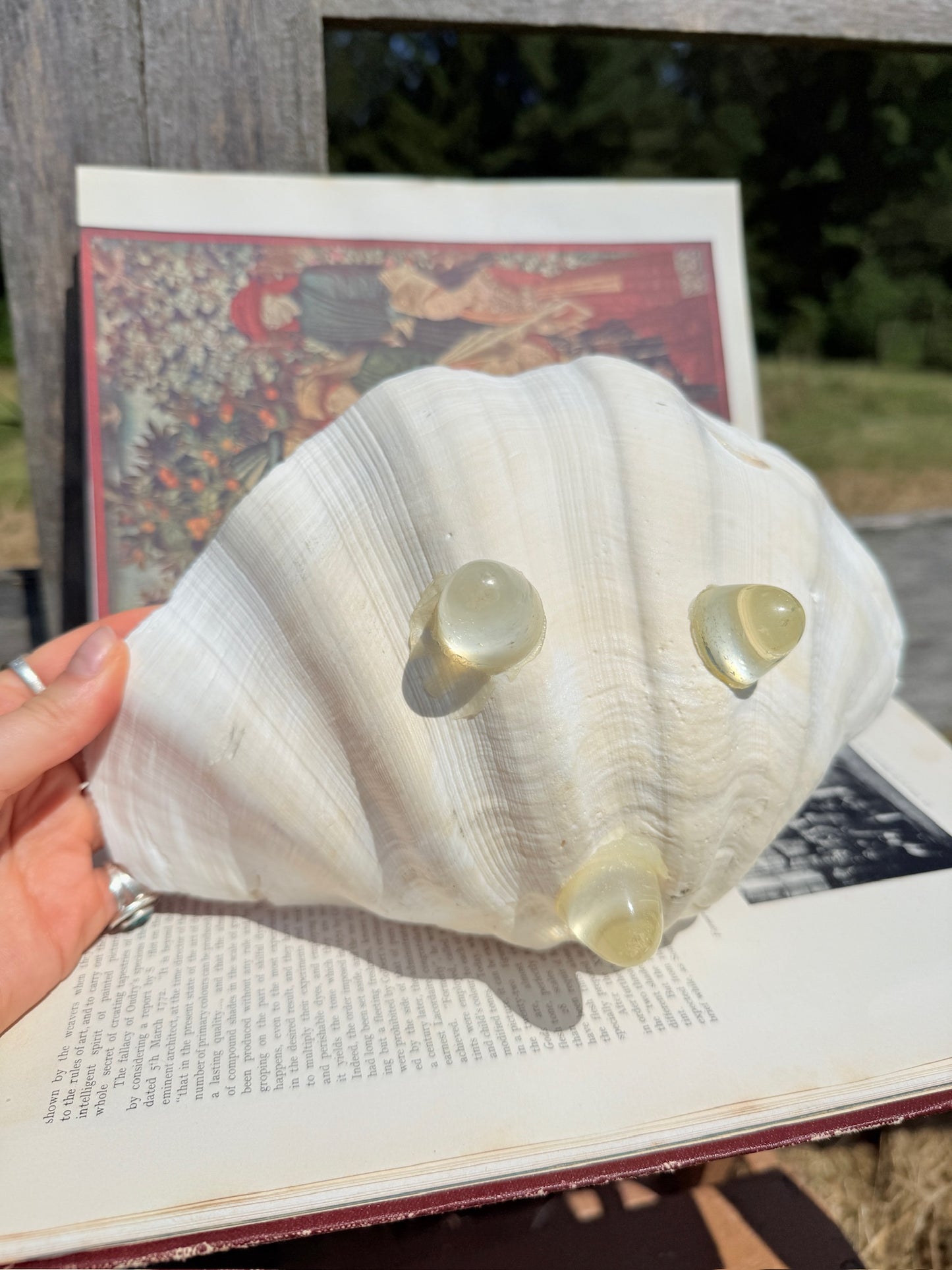 Vintage 1970s Genuine Clam Shell Footed Dish