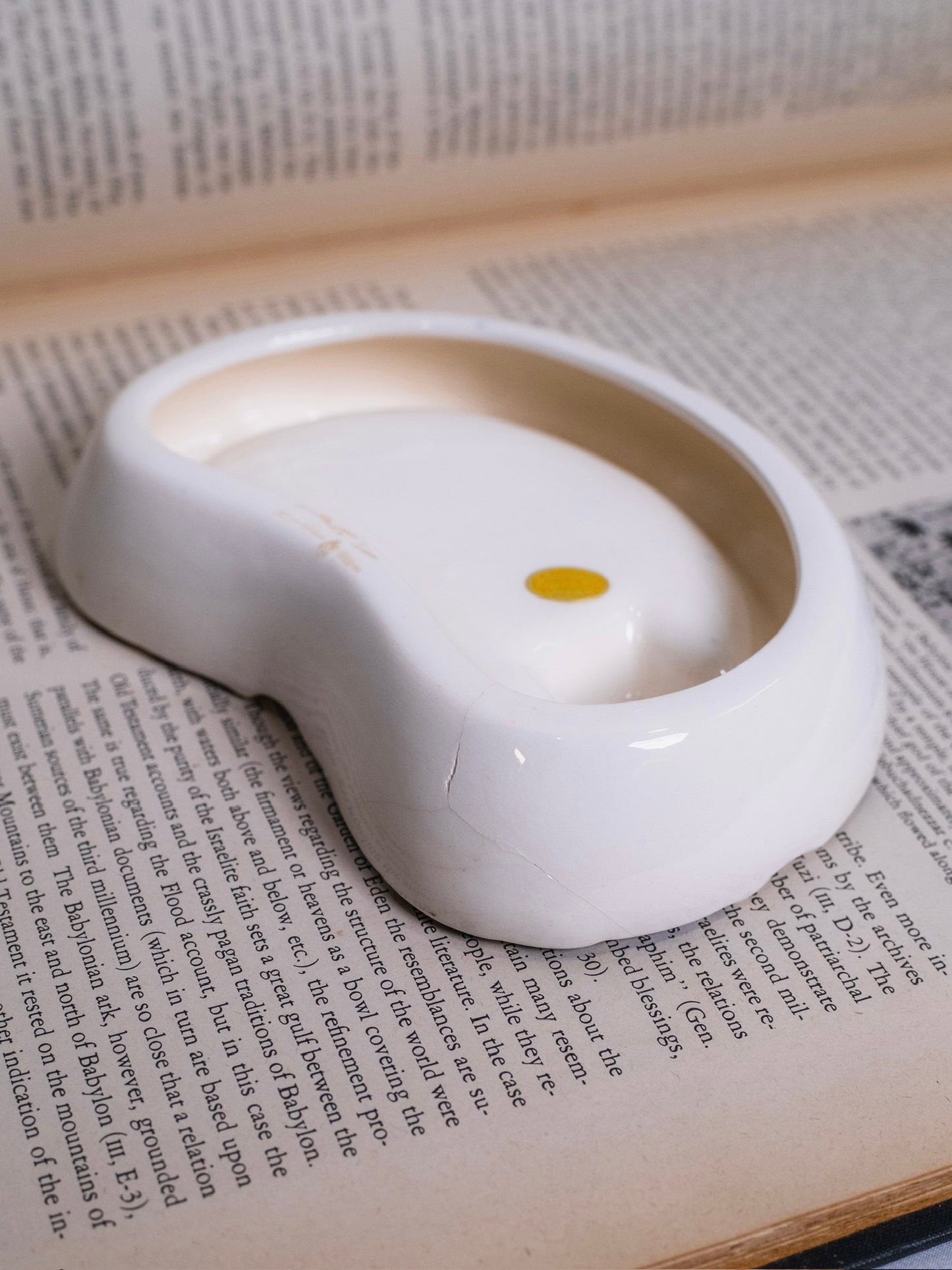 Vintage 1960s Ceramic "We Don't Swim in your Toilet..." Ashtray