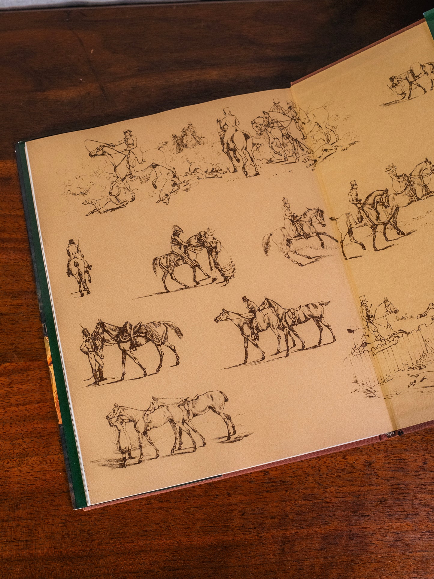 Metropolitan Museum of Art Man & The Horse Book