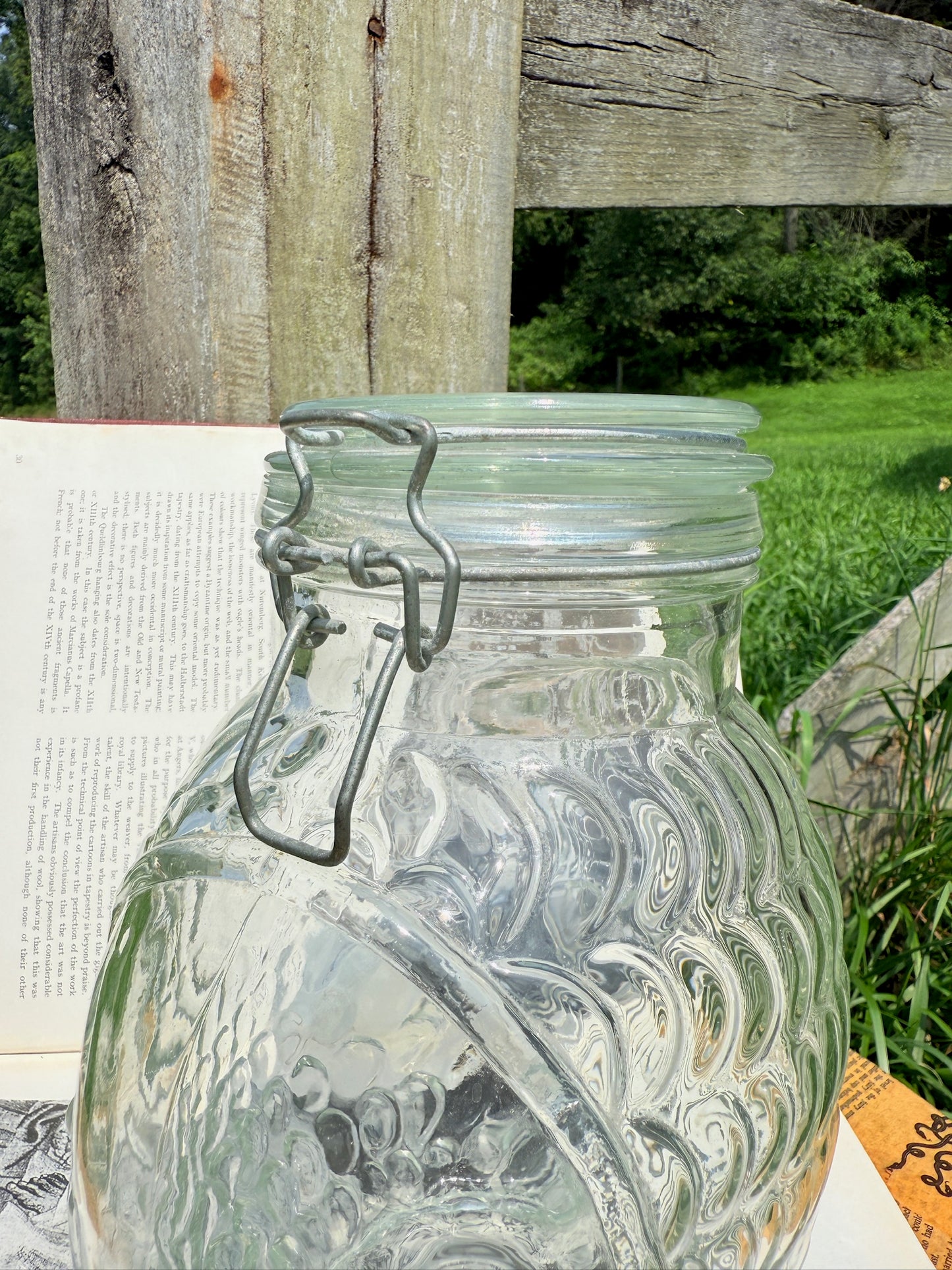 Vintage 1970s Fish Shaped Glass Canister