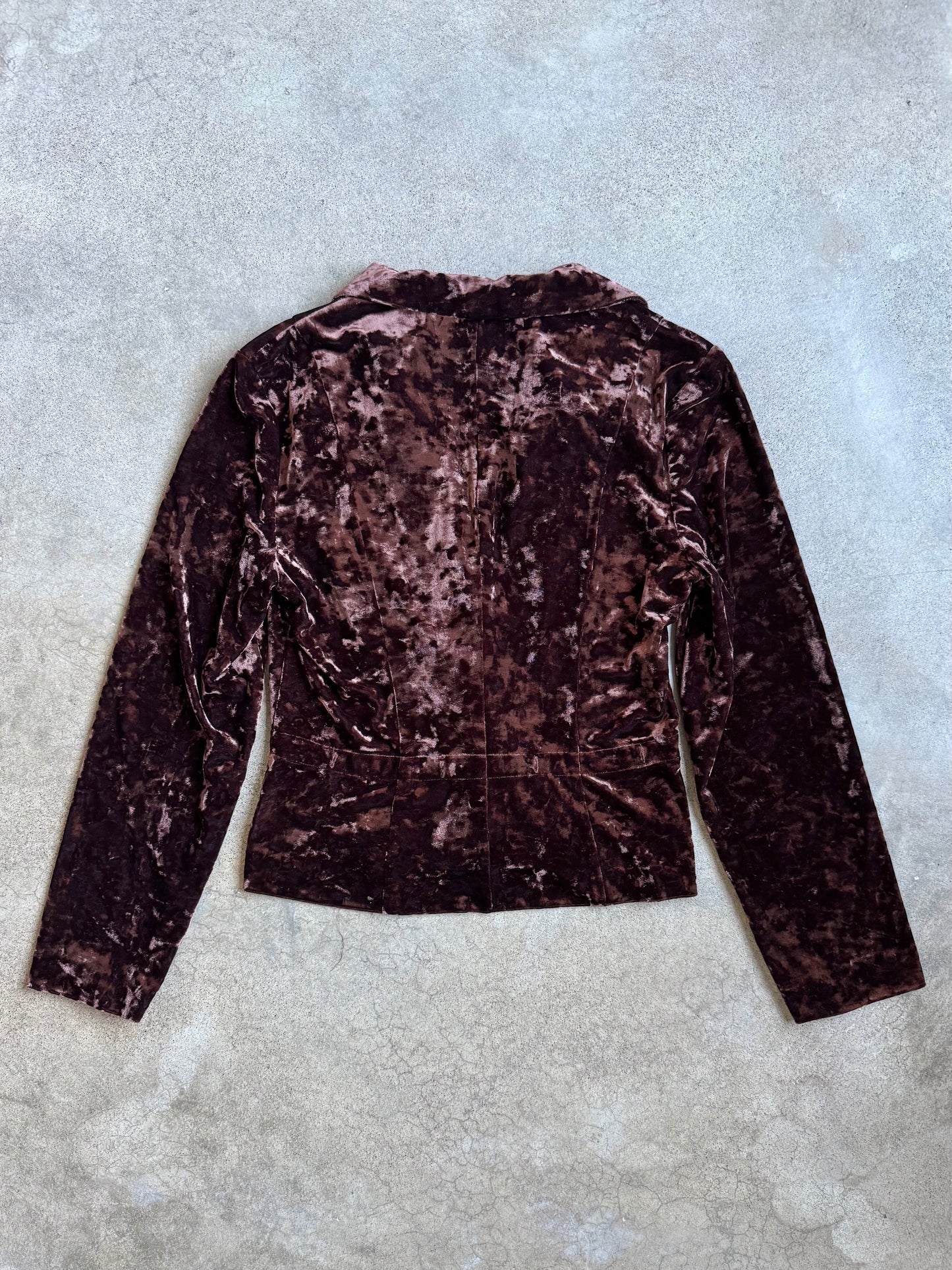 Vintage 1990s Robbie Bee Brown Crushed Velvet Button-Up Blouse | Large