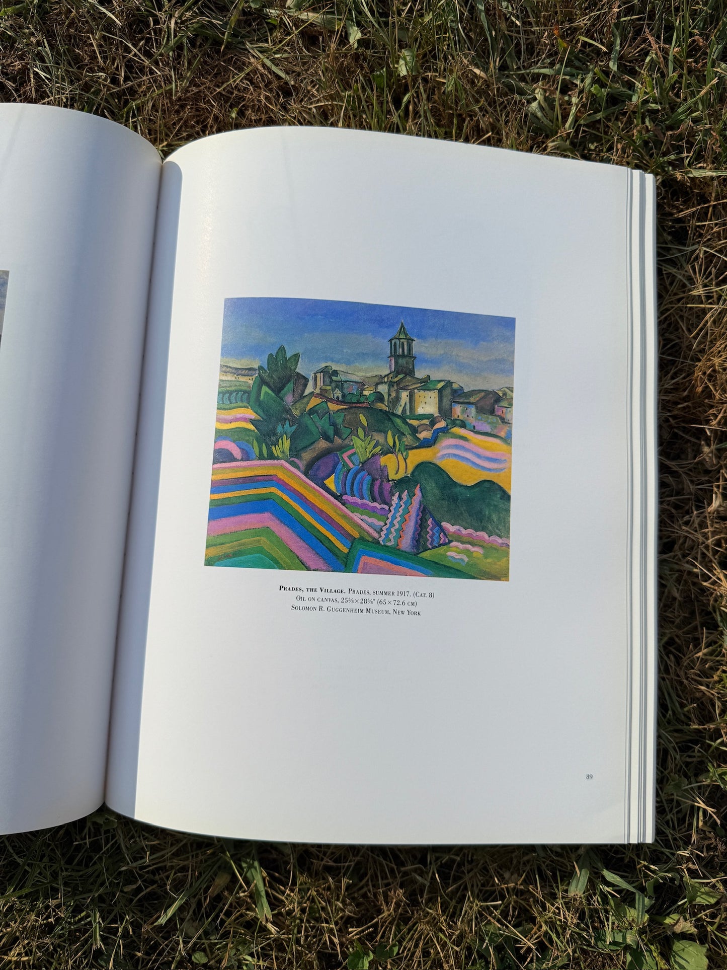 The Museum of Modern Art Joan Miró Exhibition Book