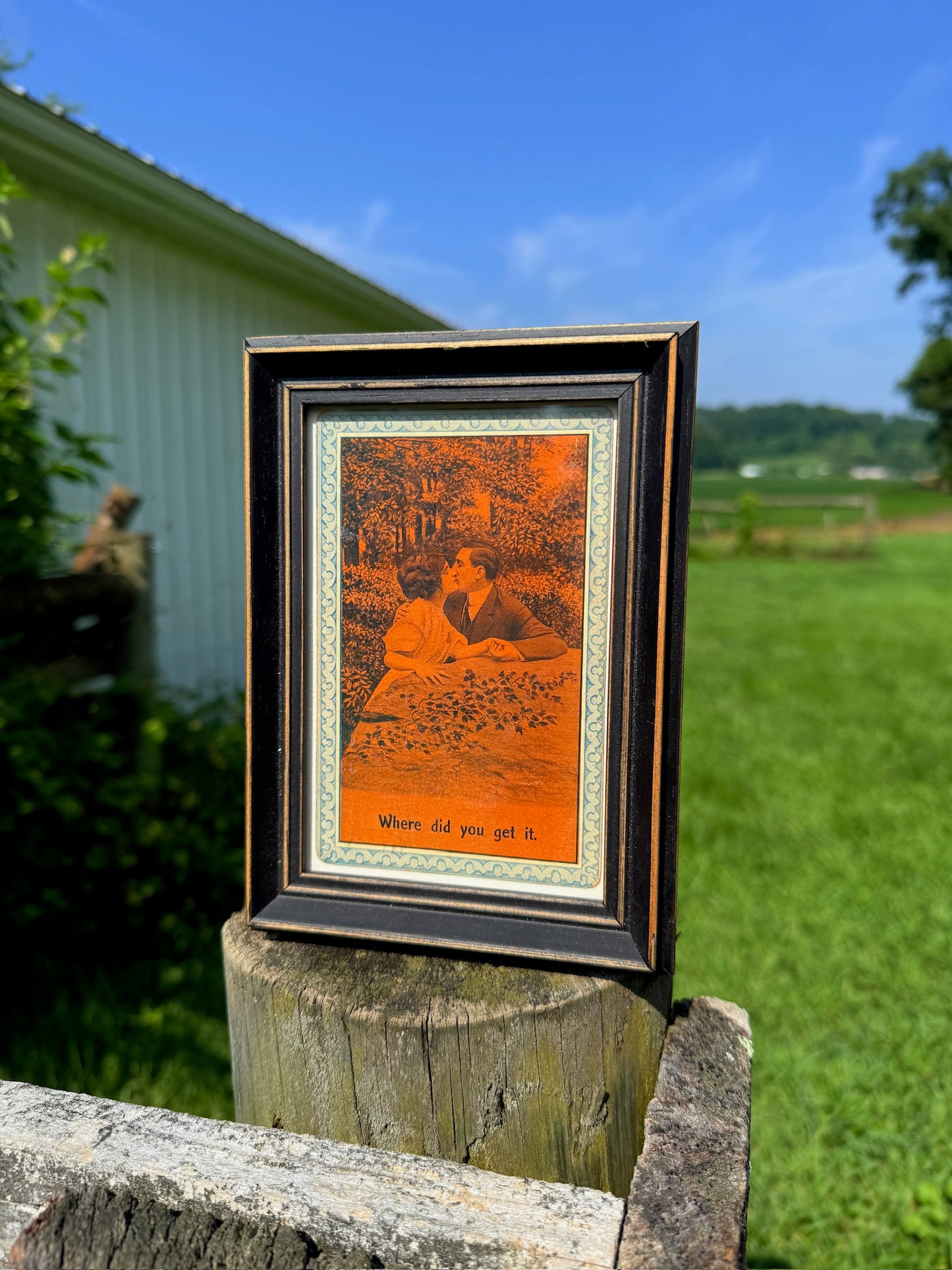 1900s Framed "Where did you get it." Postcard Art