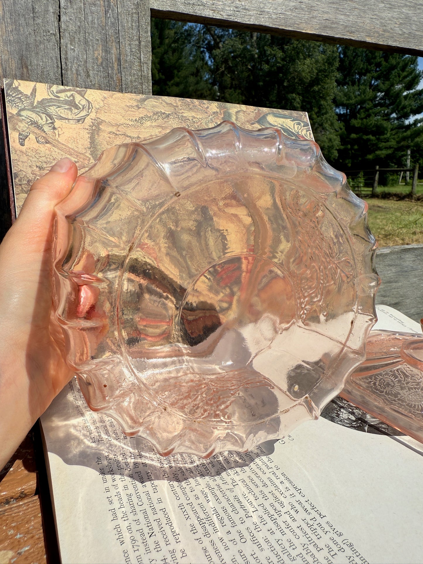 Vintage 1930s Anchor Hocking Open Rose Pale Pink Depression Glass Canister