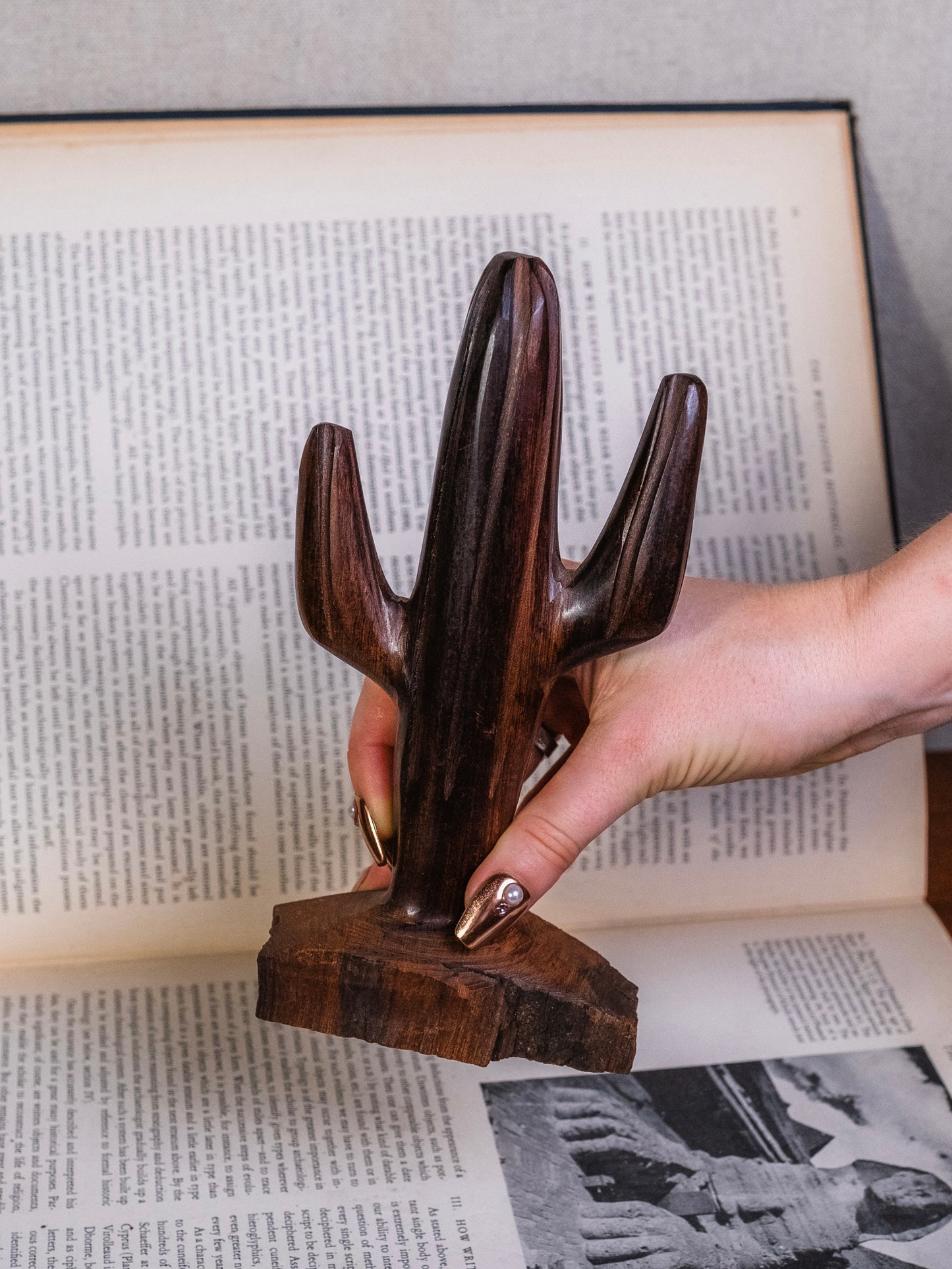 Vintage 1960s Ironwood Hand-Carved Cactus