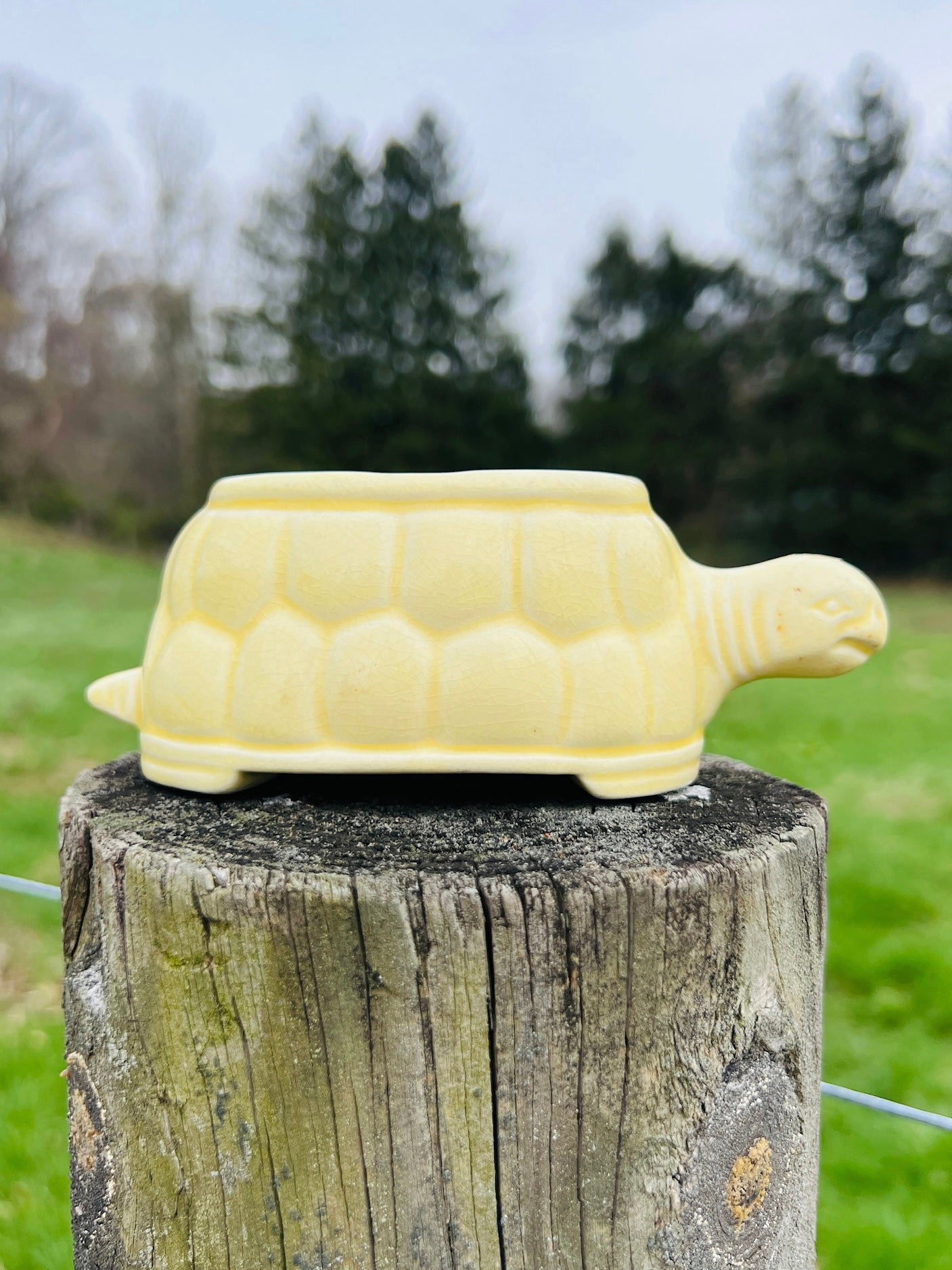 Vintage 1950s Yellow Ceramic Turtle Planter