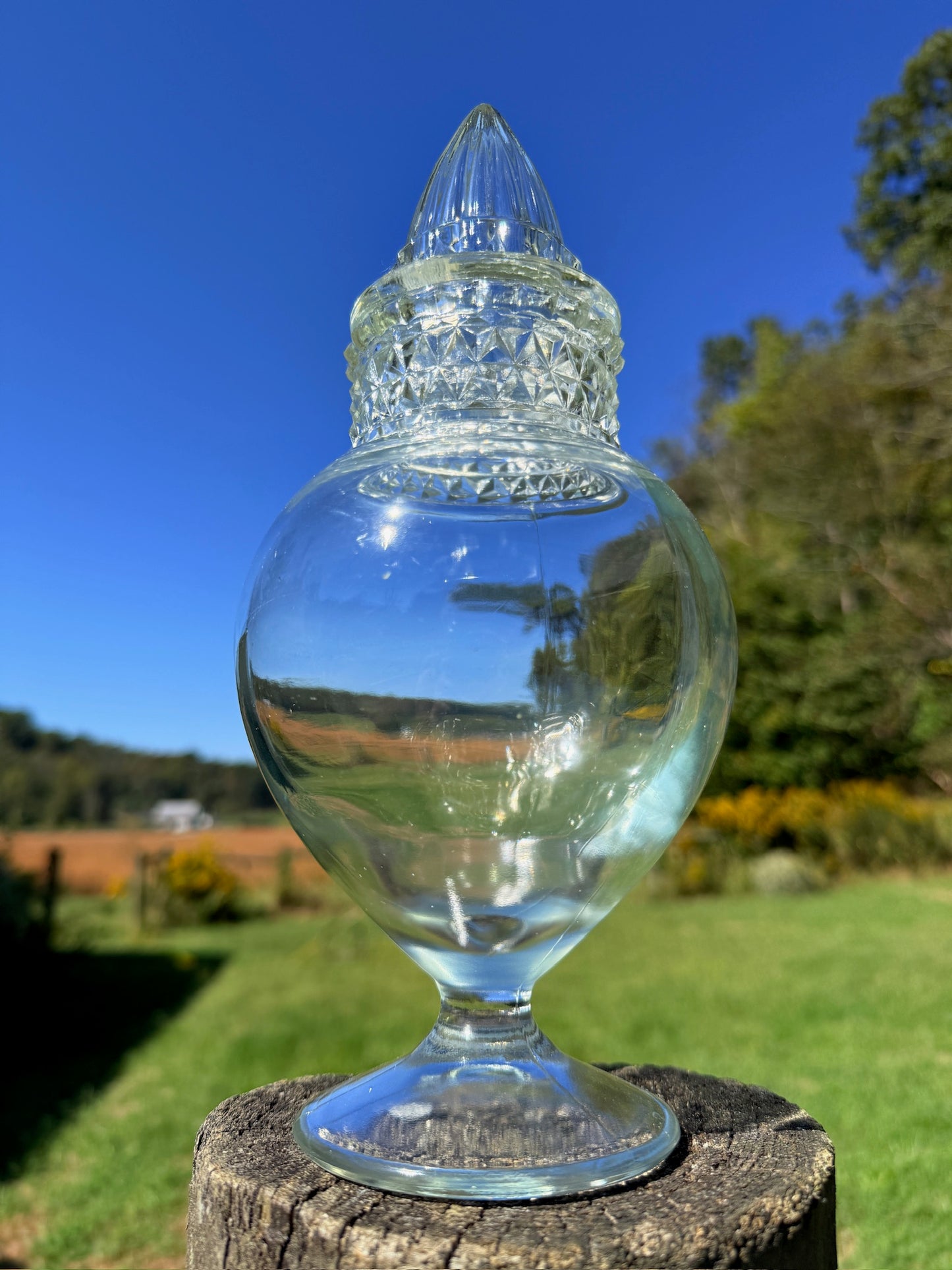 Vintage 1950s Tiffin Dakota Glass Apothecary Jar