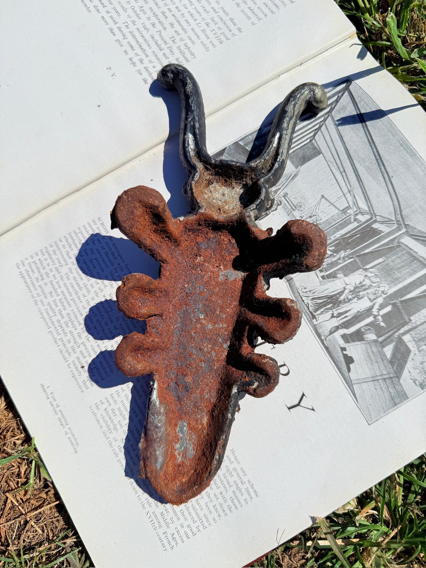 Antique Victorian Cast Iron Beetle Boot Jack