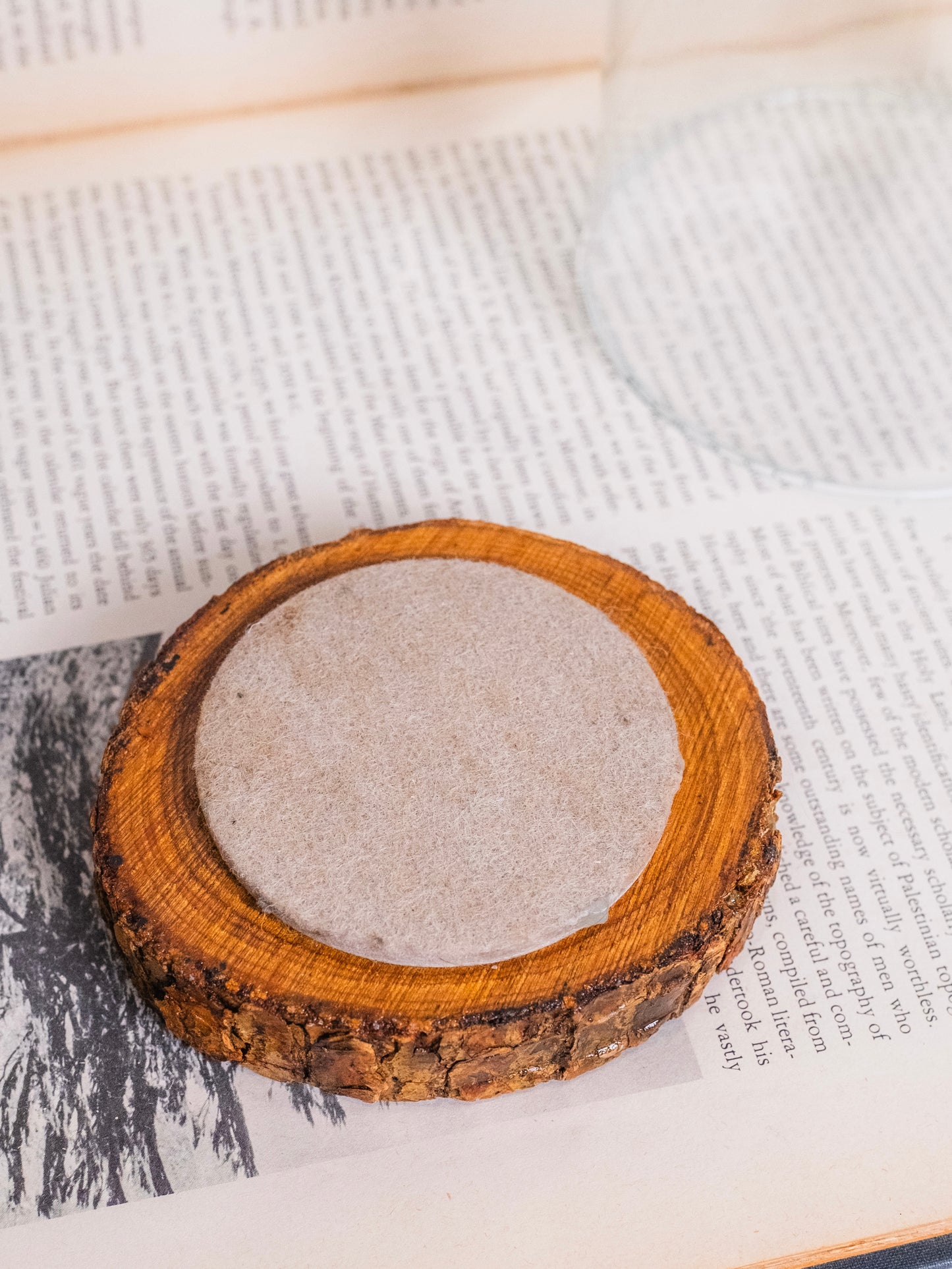 Vintage Glass Dome w/ Wood Base