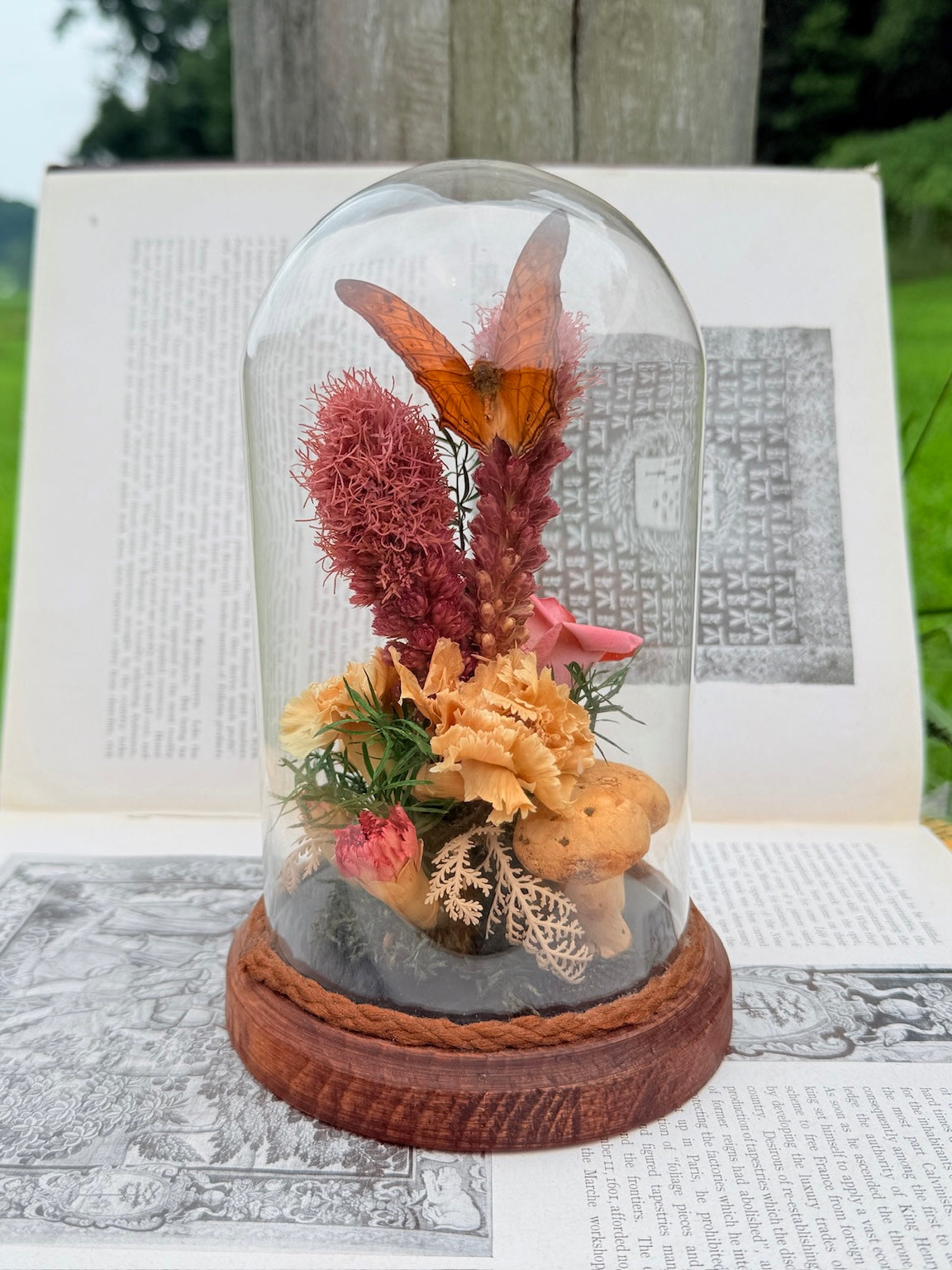 Vintage 1970s Preserved Butterfly & Dried Florals Glass Cloche Display