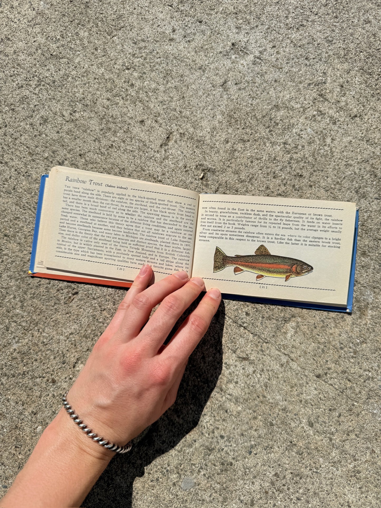 Vintage 1930s Fresh Water Fish Mini Guide Book