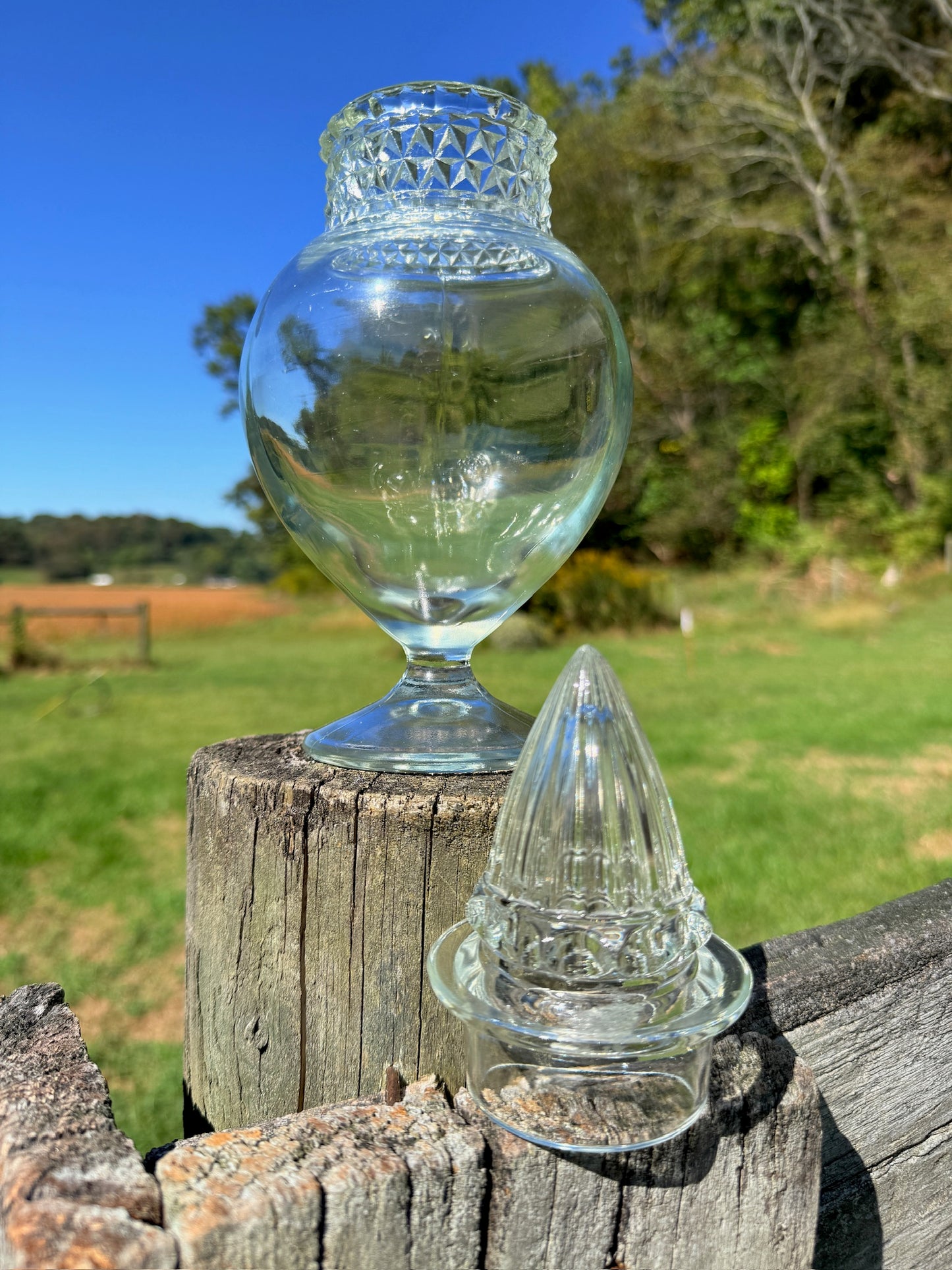Vintage 1950s Tiffin Dakota Glass Apothecary Jar