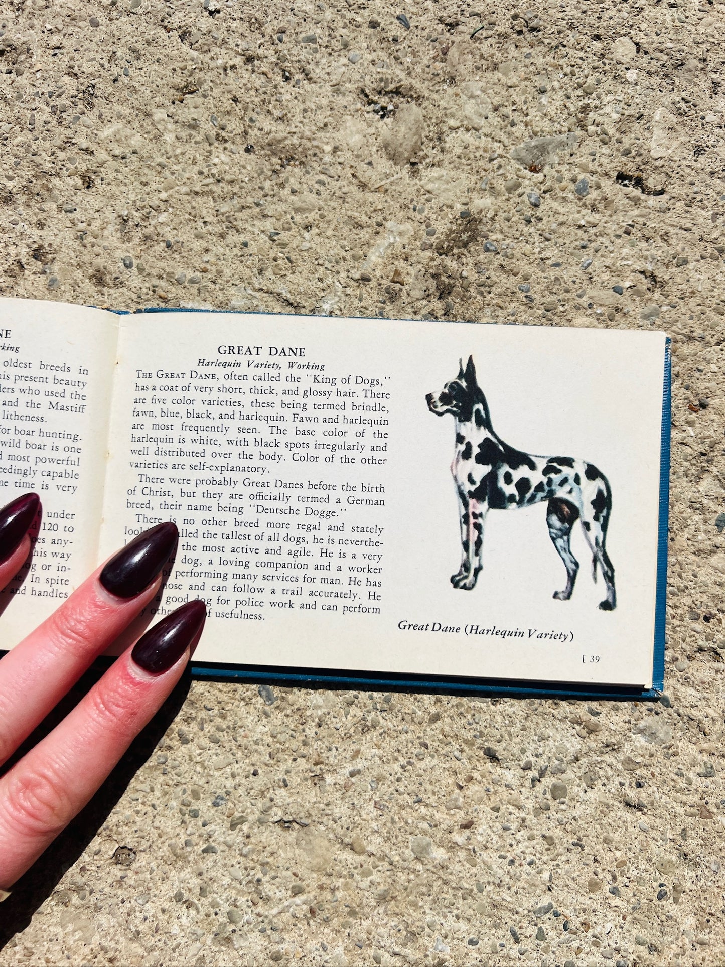 Vintage 1940s The Blue Book of Dogs