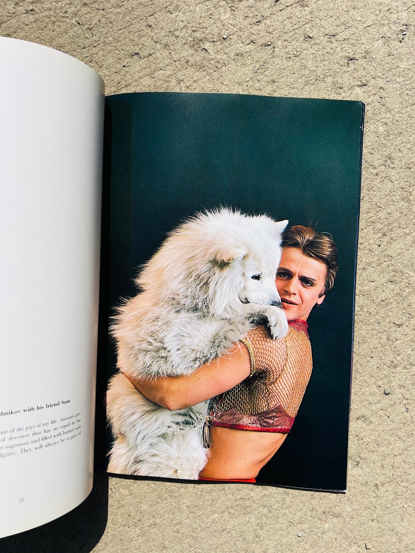 Vintage 1980s Baryshnikov Ballet Picture Book