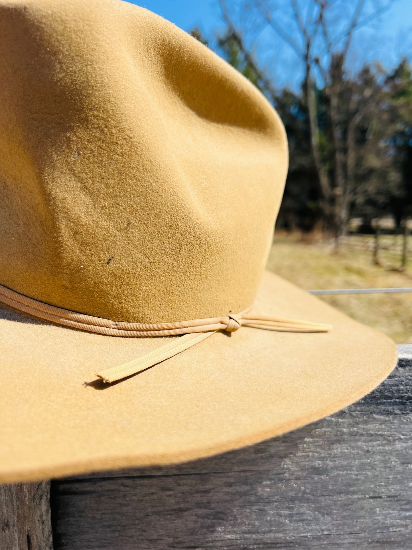 Vintage 1970s The Westerner Tan Cowboy Hat