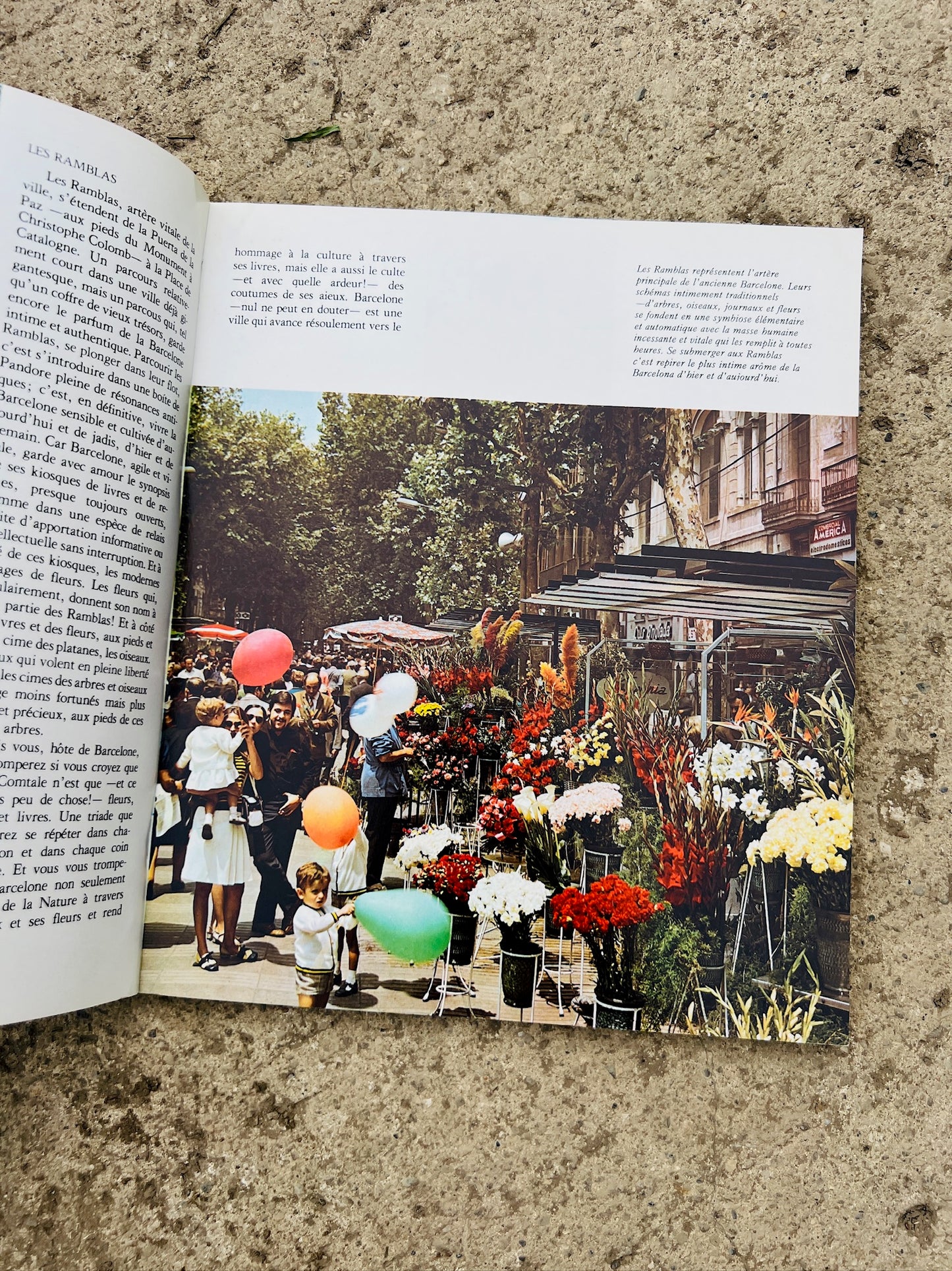 Vintage 1960s Tout Barcelona Tour Book