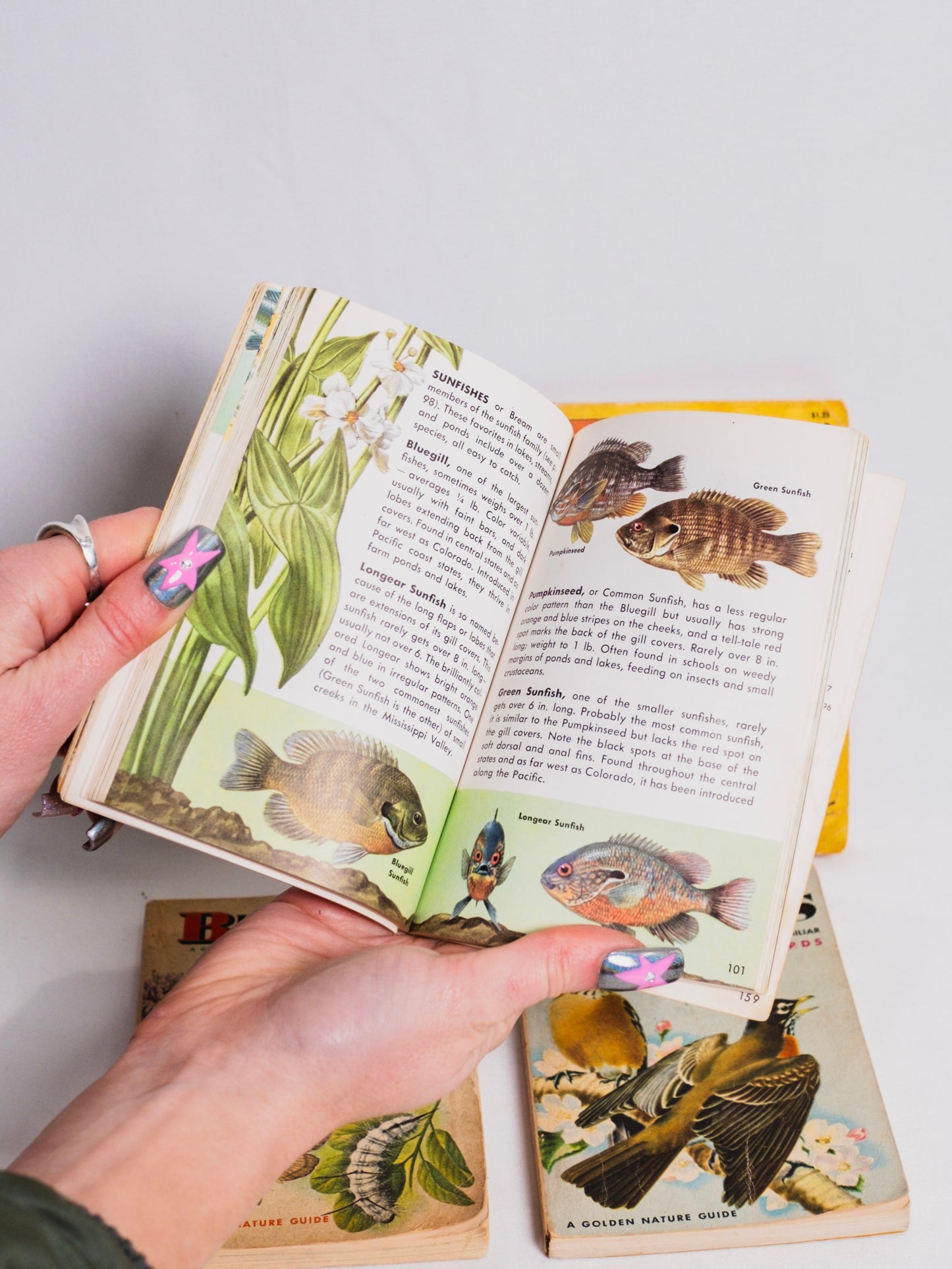 Vintage 1940s Golden Nature Guide Paperback Books | Set of 4