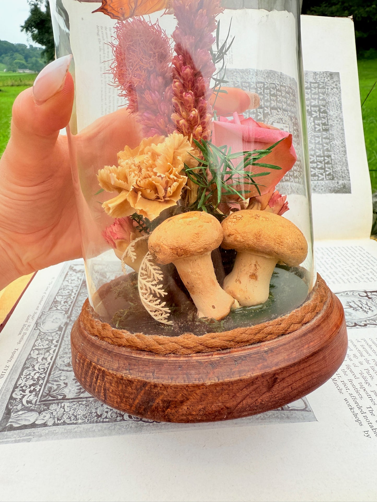 Vintage 1970s Preserved Butterfly & Dried Florals Glass Cloche Display
