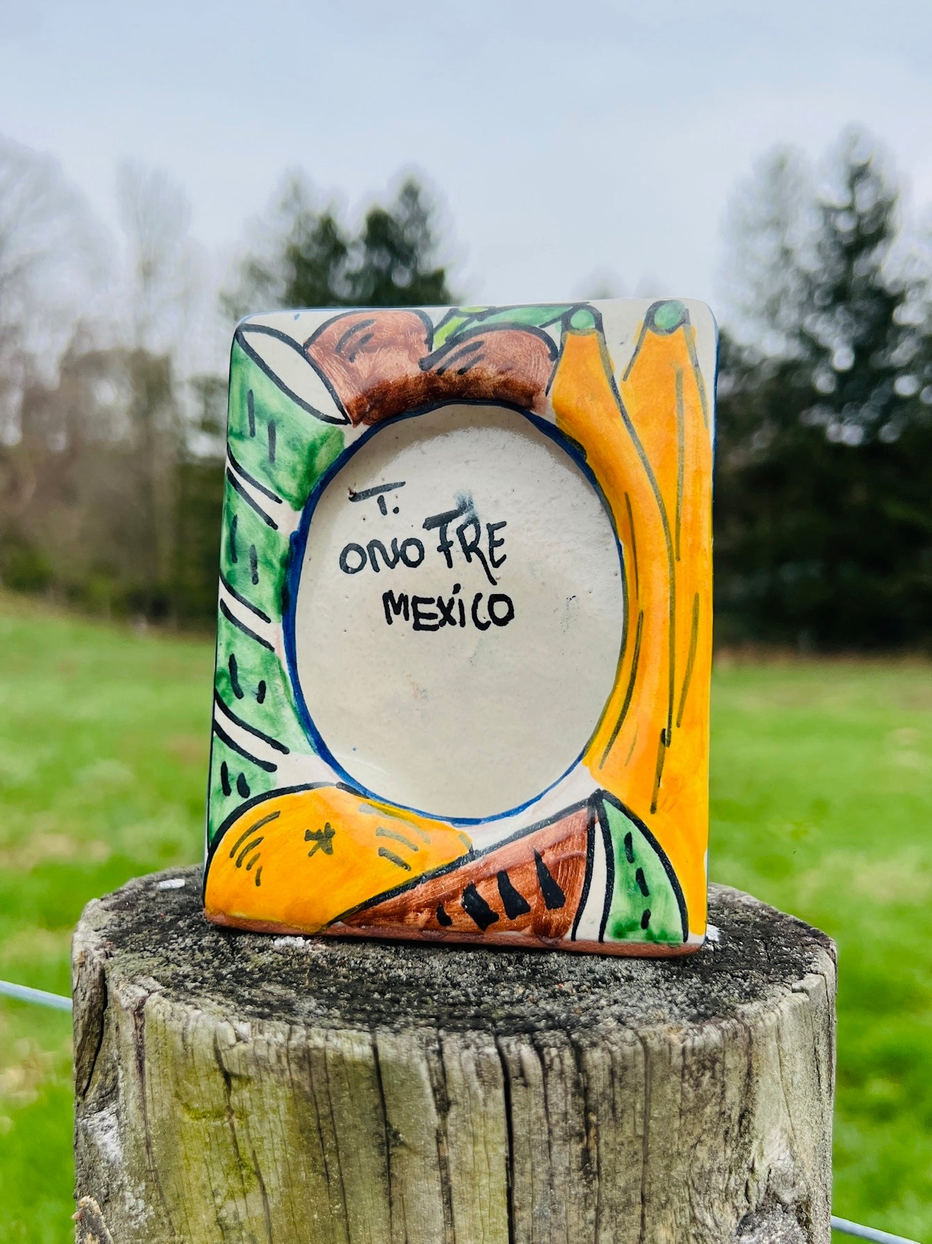 Vintage 1960s Mexican Hand-Painted Fruit Pattern Terracotta Picture Frame
