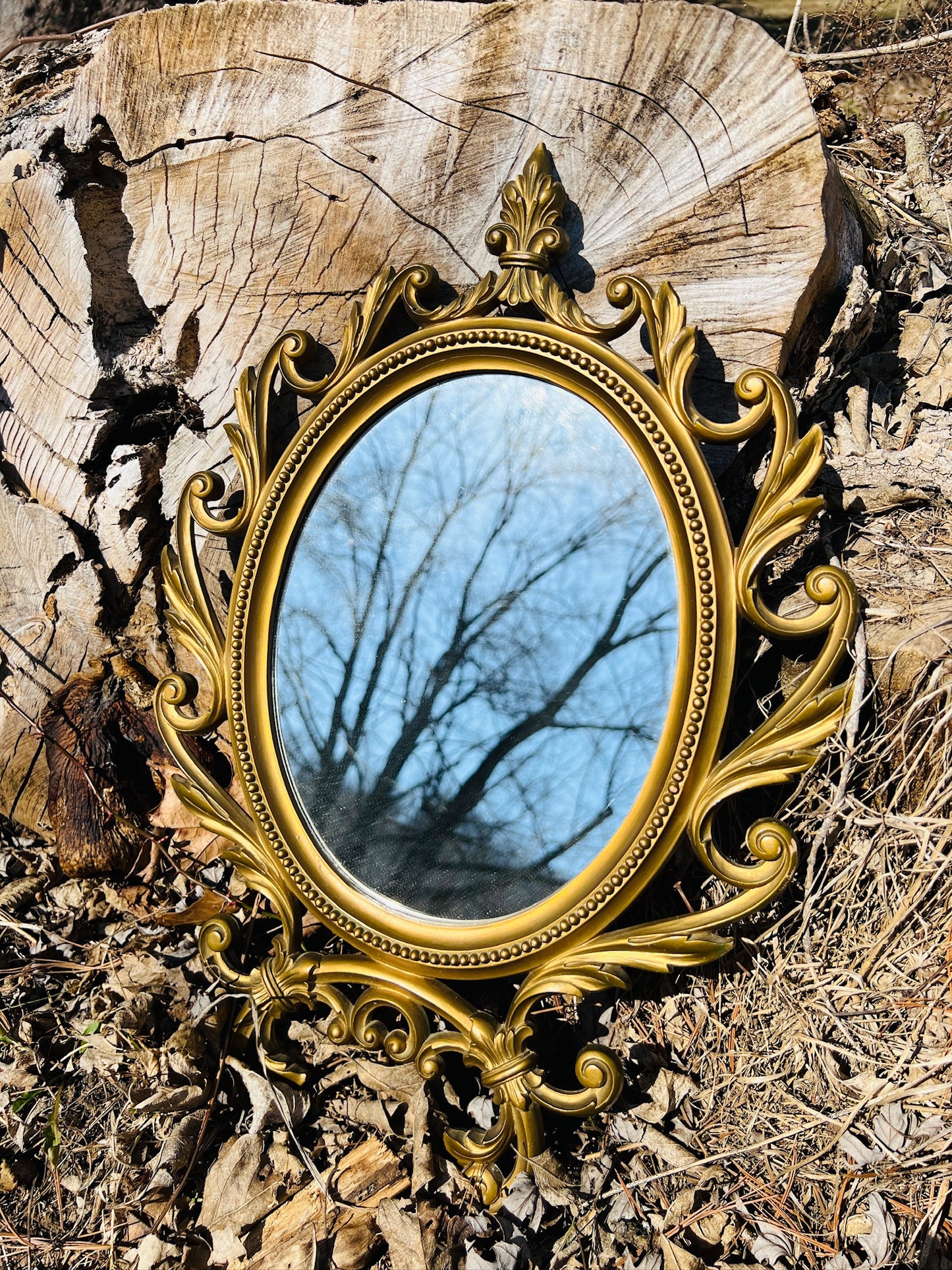 Vintage 1960s Syroco Baroque Style Wall Mirror