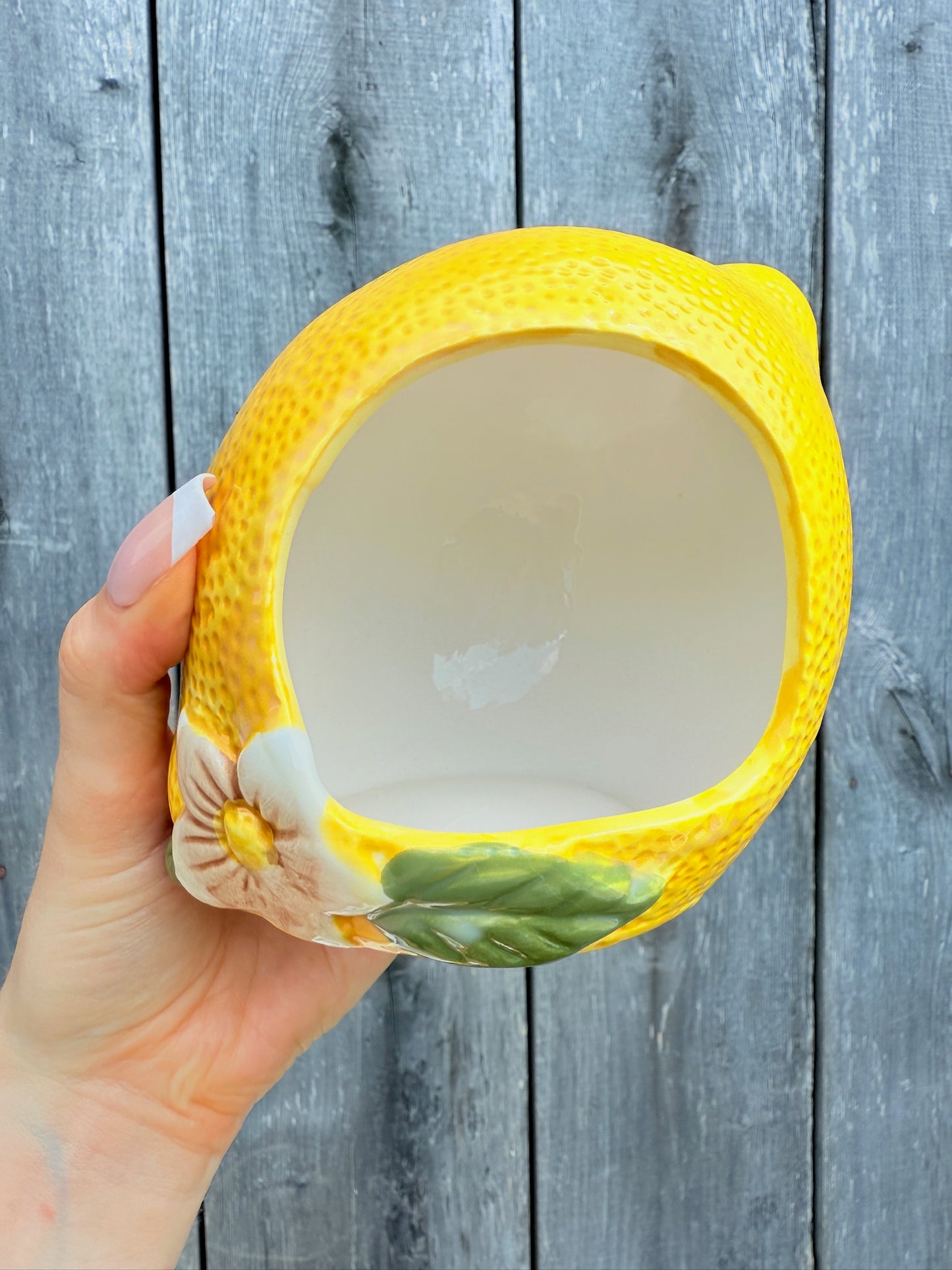 Vintage 1970s Ceramic Lemon Sponge Holder