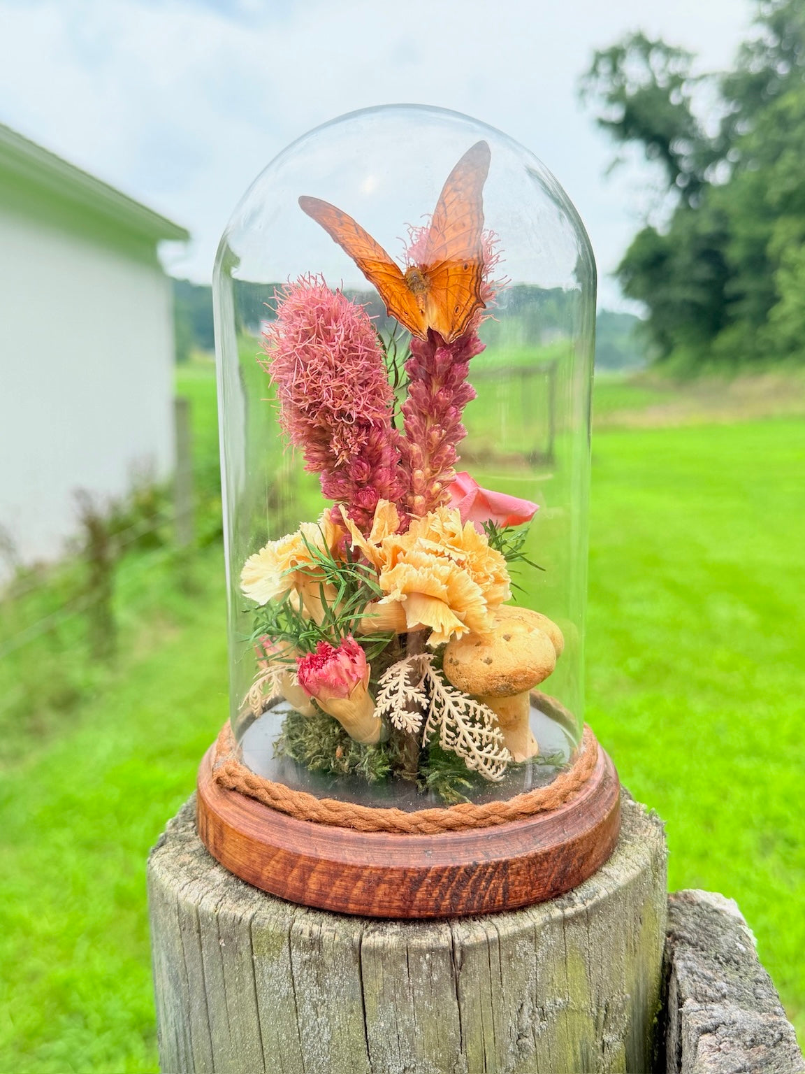 Vintage 1970s Preserved Butterfly & Dried Florals Glass Cloche Display