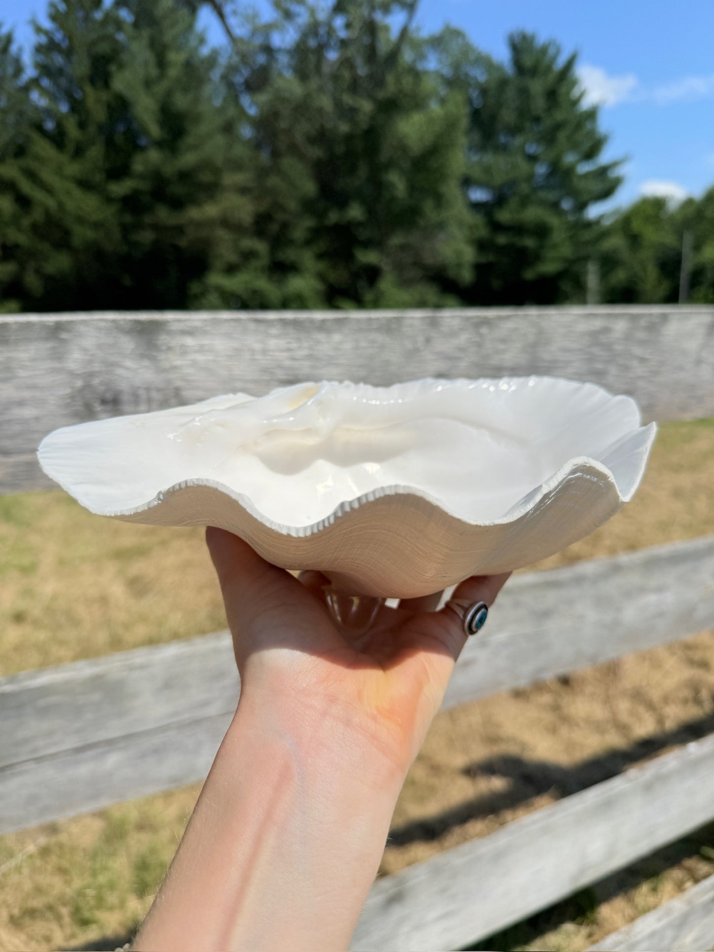 Vintage 1970s Genuine Clam Shell Footed Dish