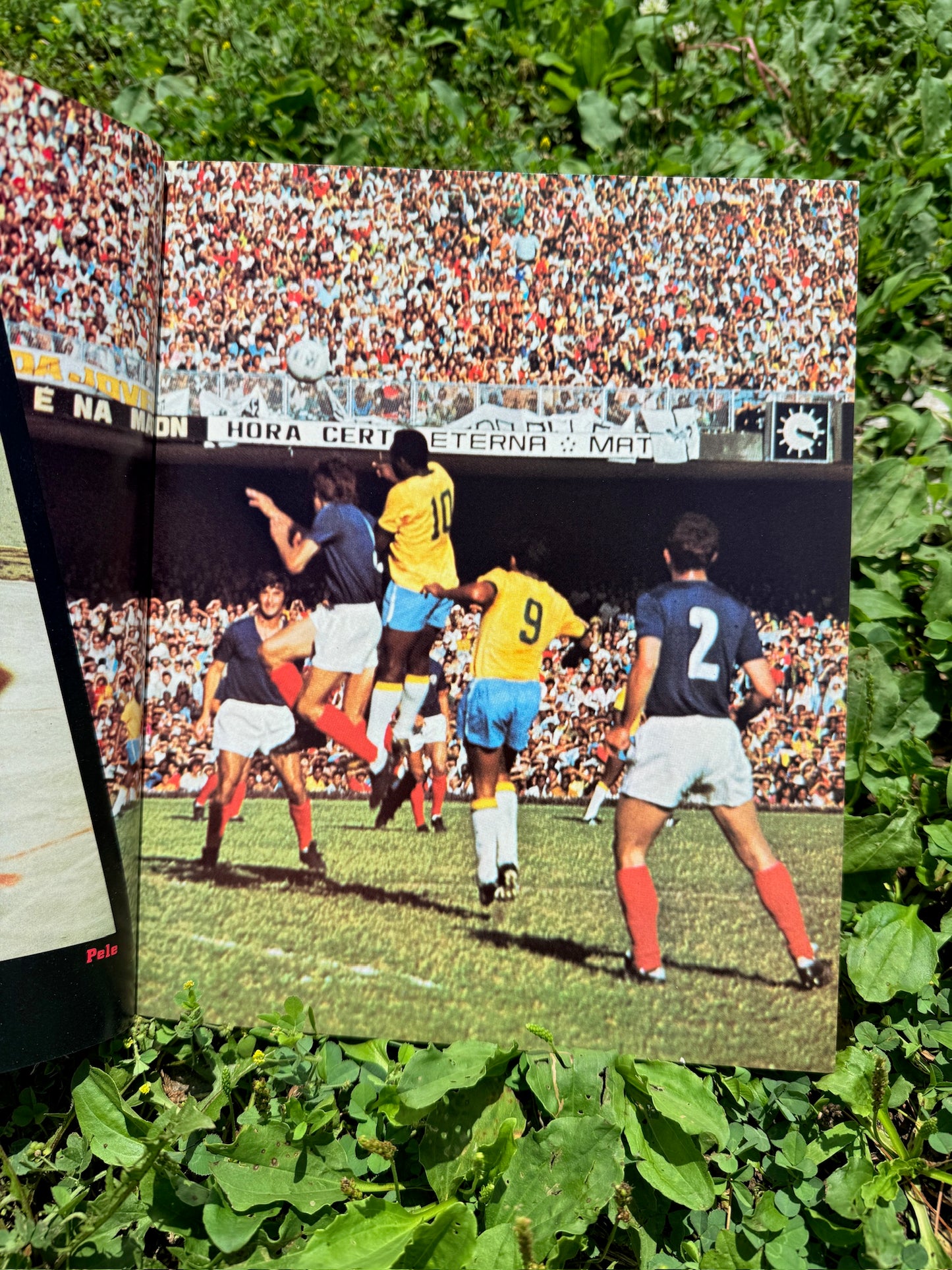 Vintage The Sports Immortals Hardcover Book