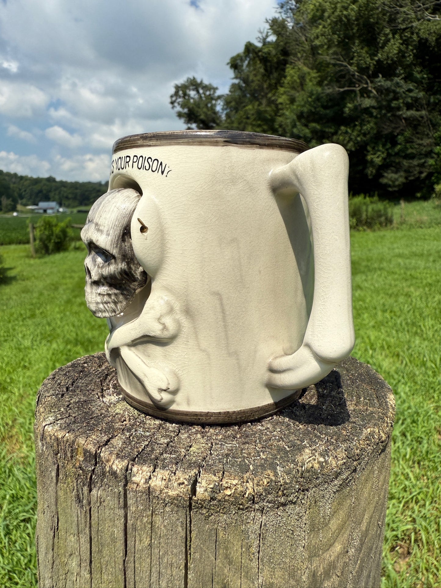 Vintage 1950s "What's Your Poison" Ceramic Mug