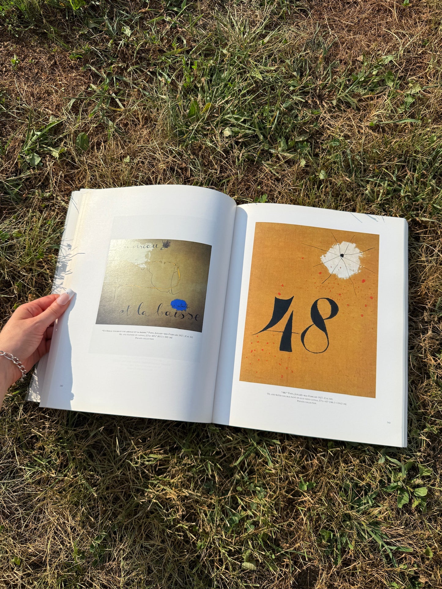 The Museum of Modern Art Joan Miró Exhibition Book