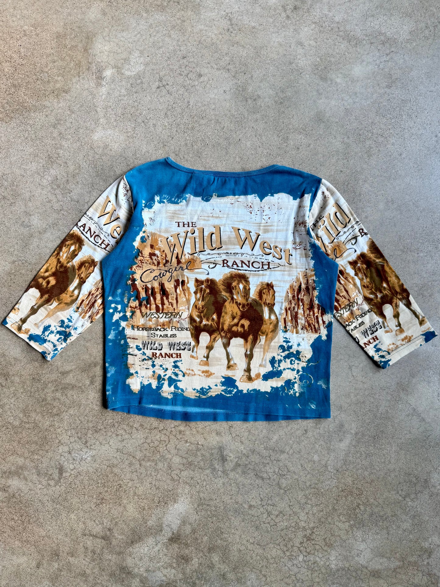 2000s Bit & Bridle Wild West Sequin Graphic Top | Large