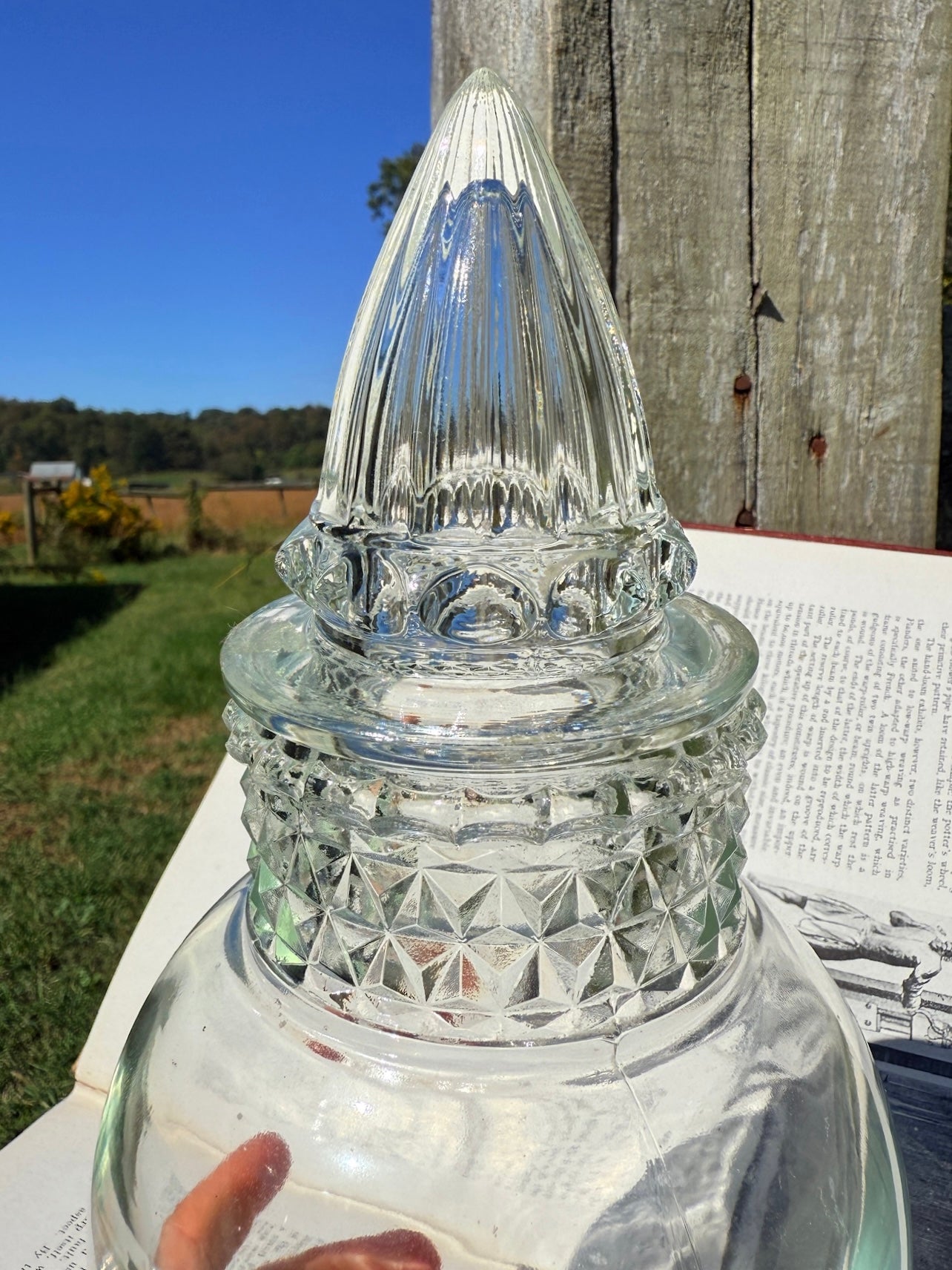 Vintage 1950s Tiffin Dakota Glass Apothecary Jar