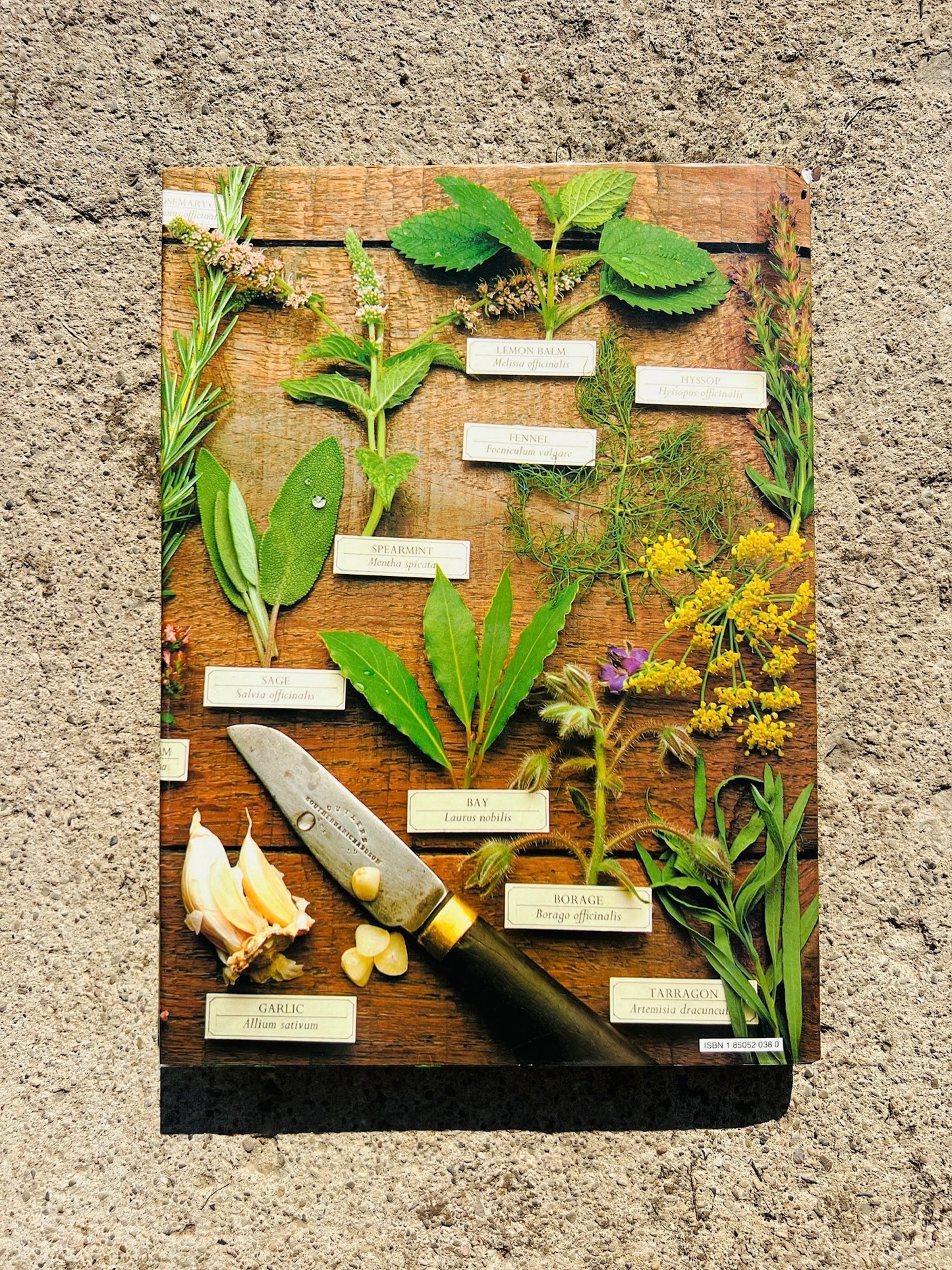Vintage The Herb Book