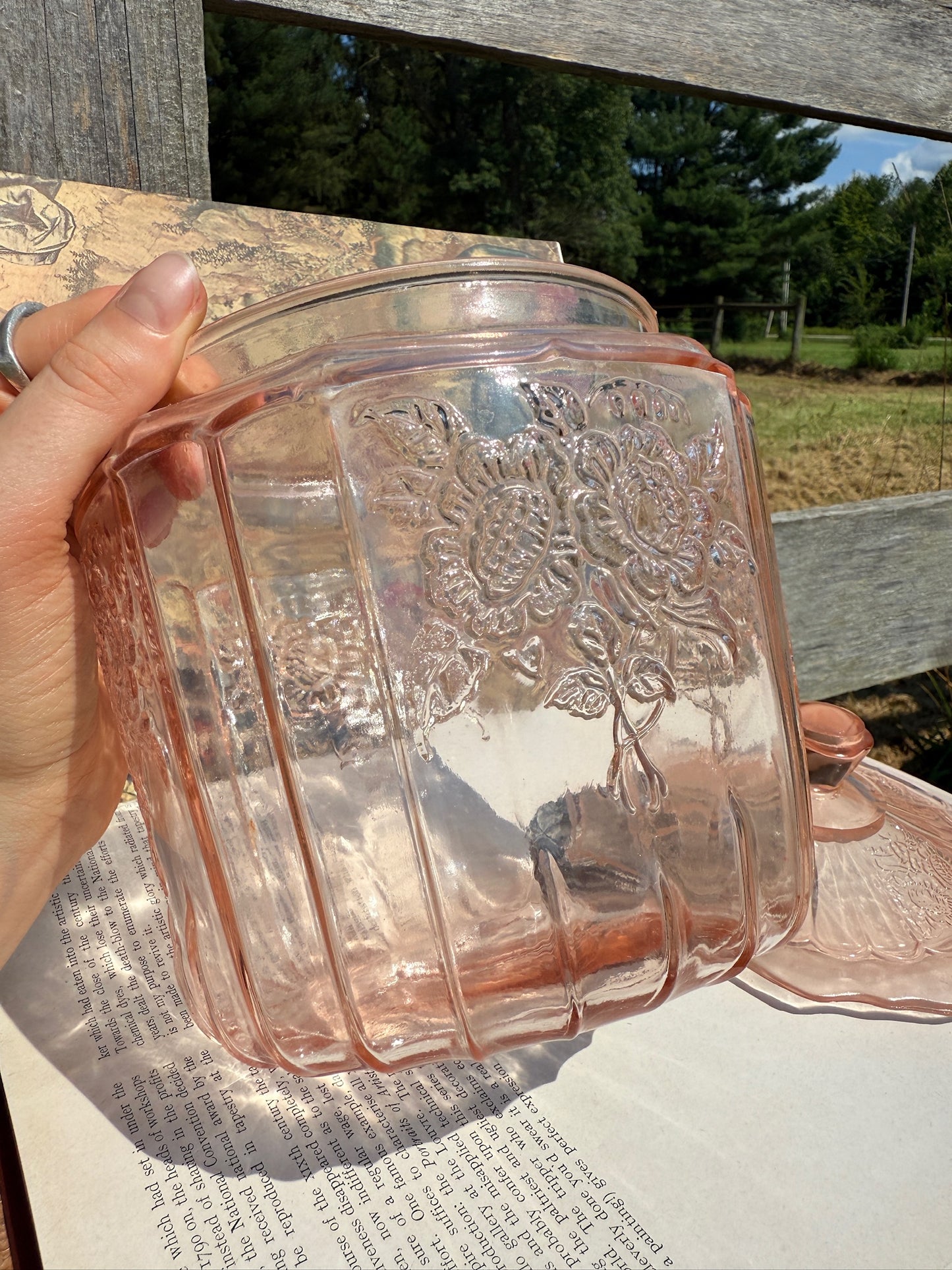 Vintage 1930s Anchor Hocking Open Rose Pale Pink Depression Glass Canister