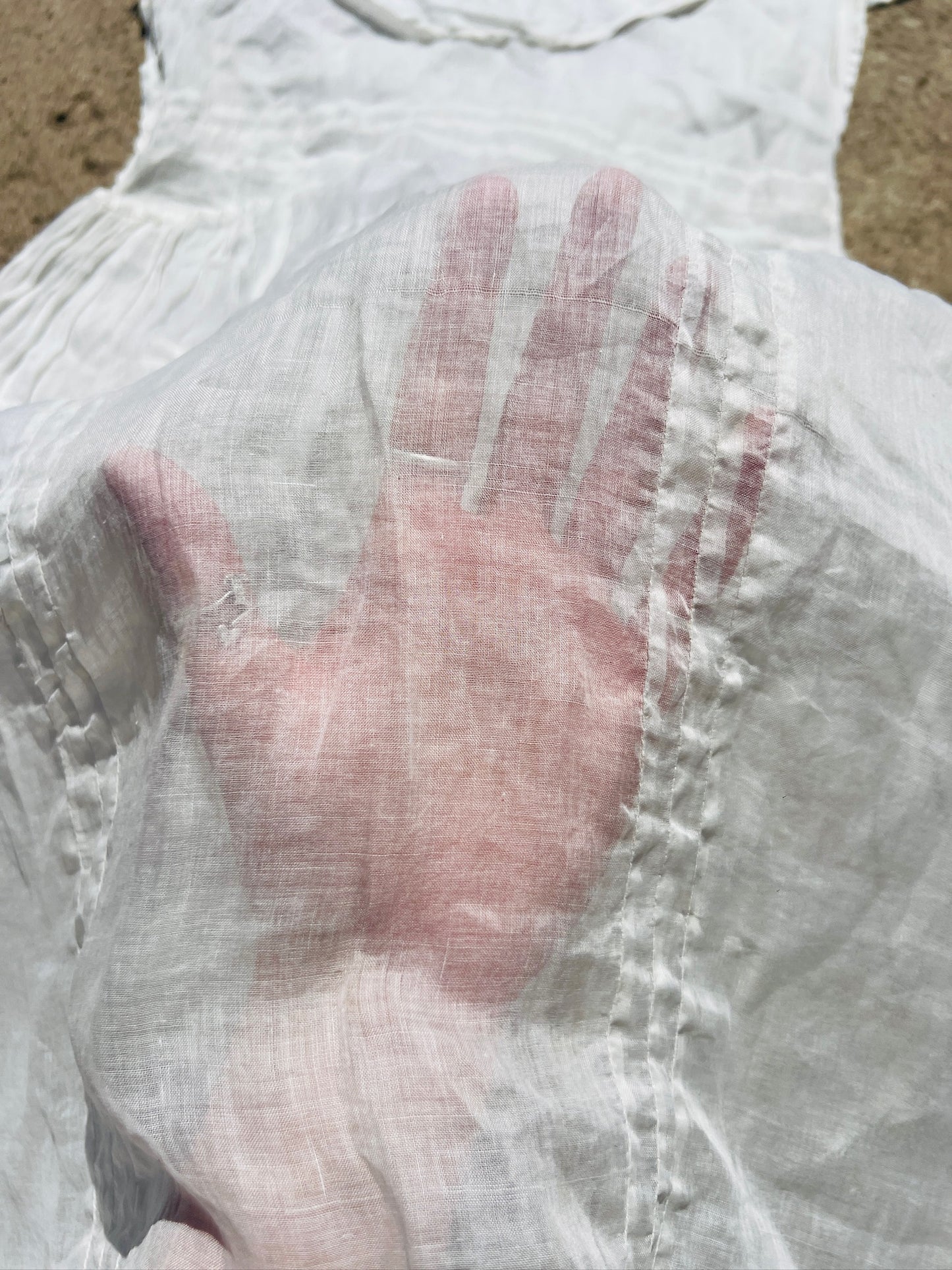 Antique Edwardian Sheer Collared Dress | Small