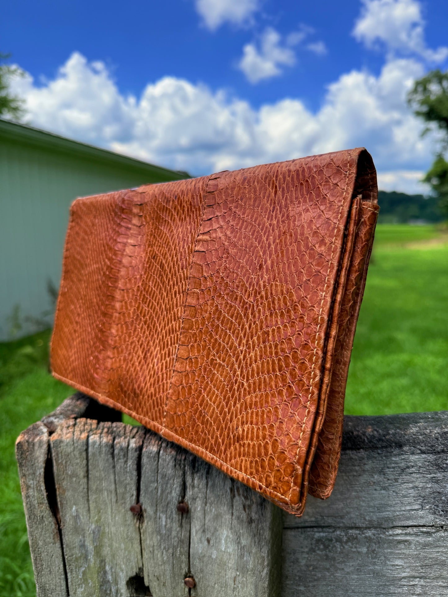 Vintage 1940s Brown Genuine Snakeskin Clutch