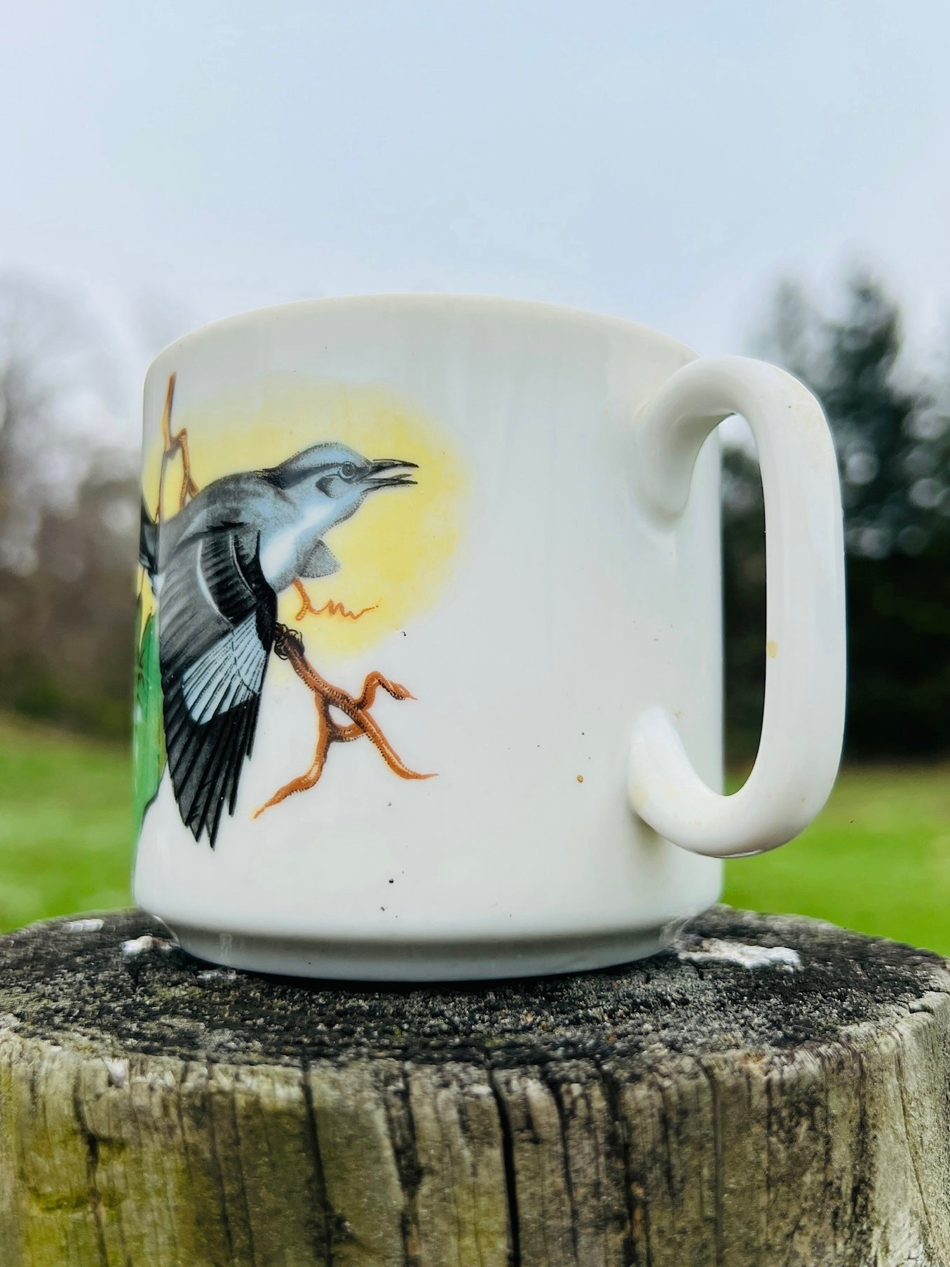 Vintage 1960s Ceramic Mocking Bird Coffee Mug