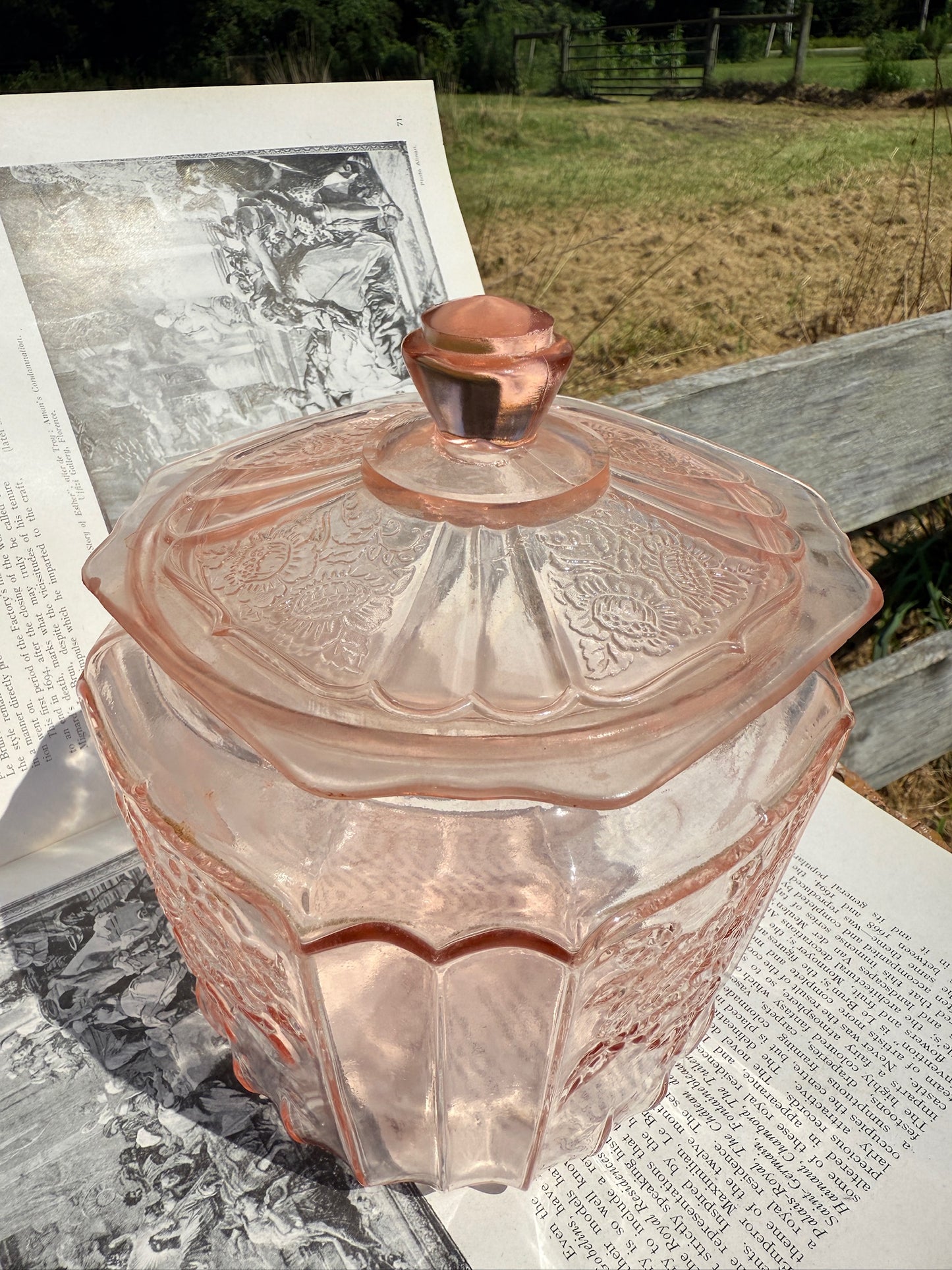 Vintage 1930s Anchor Hocking Open Rose Pale Pink Depression Glass Canister