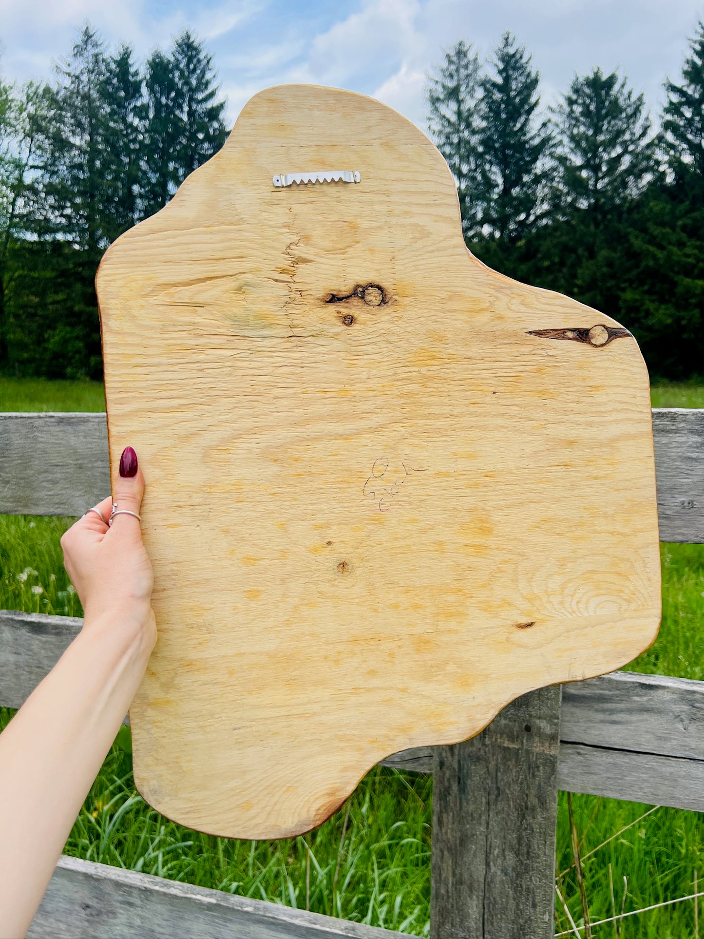 Vintage 1970s Lake Okeechobee Shaped Wall Hanging