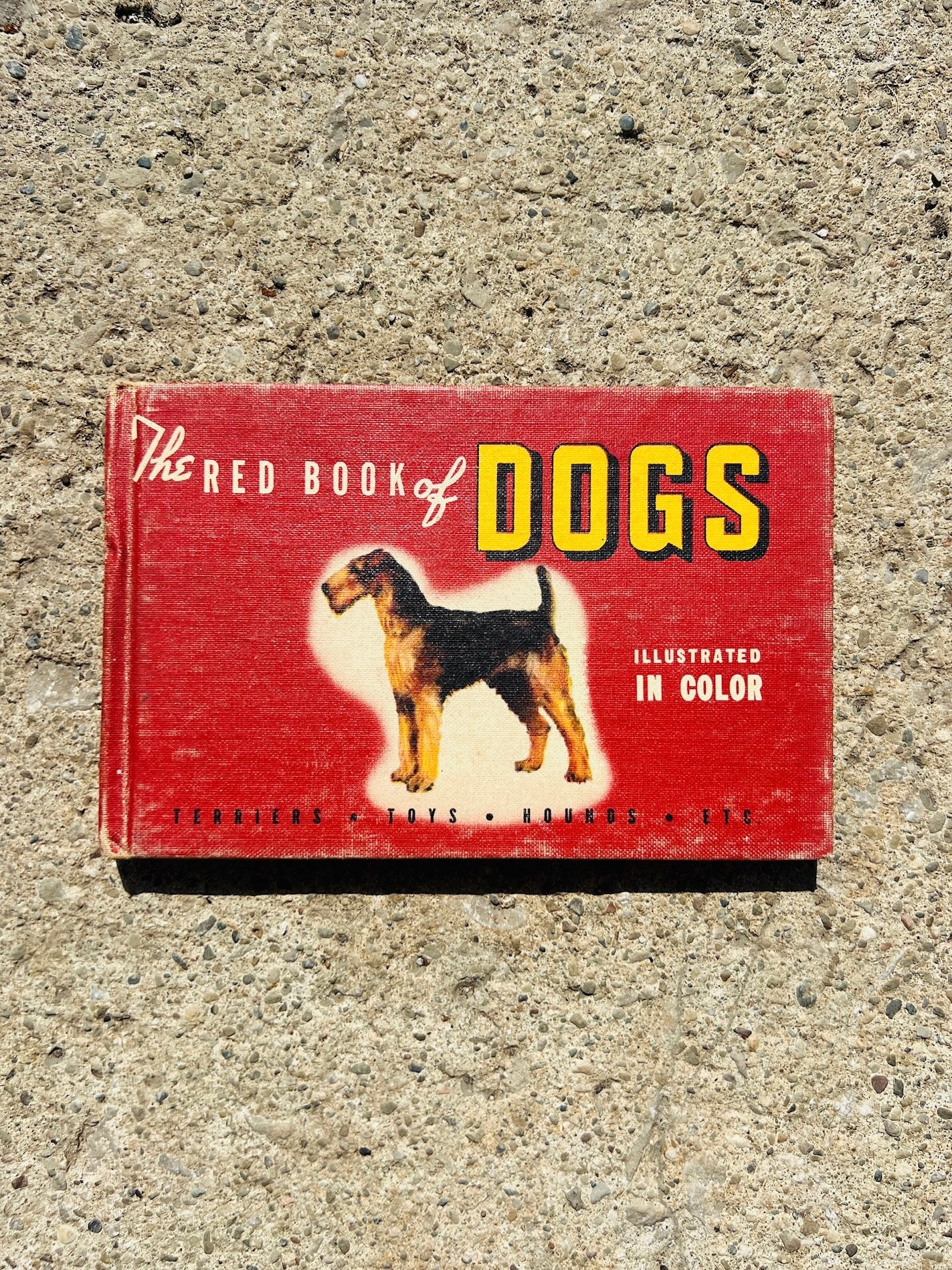 Vintage 1940s The Red Book of Dogs