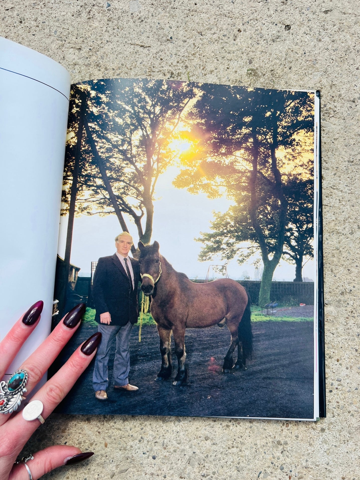 Vintage The English & Their Horses Hardcover Book