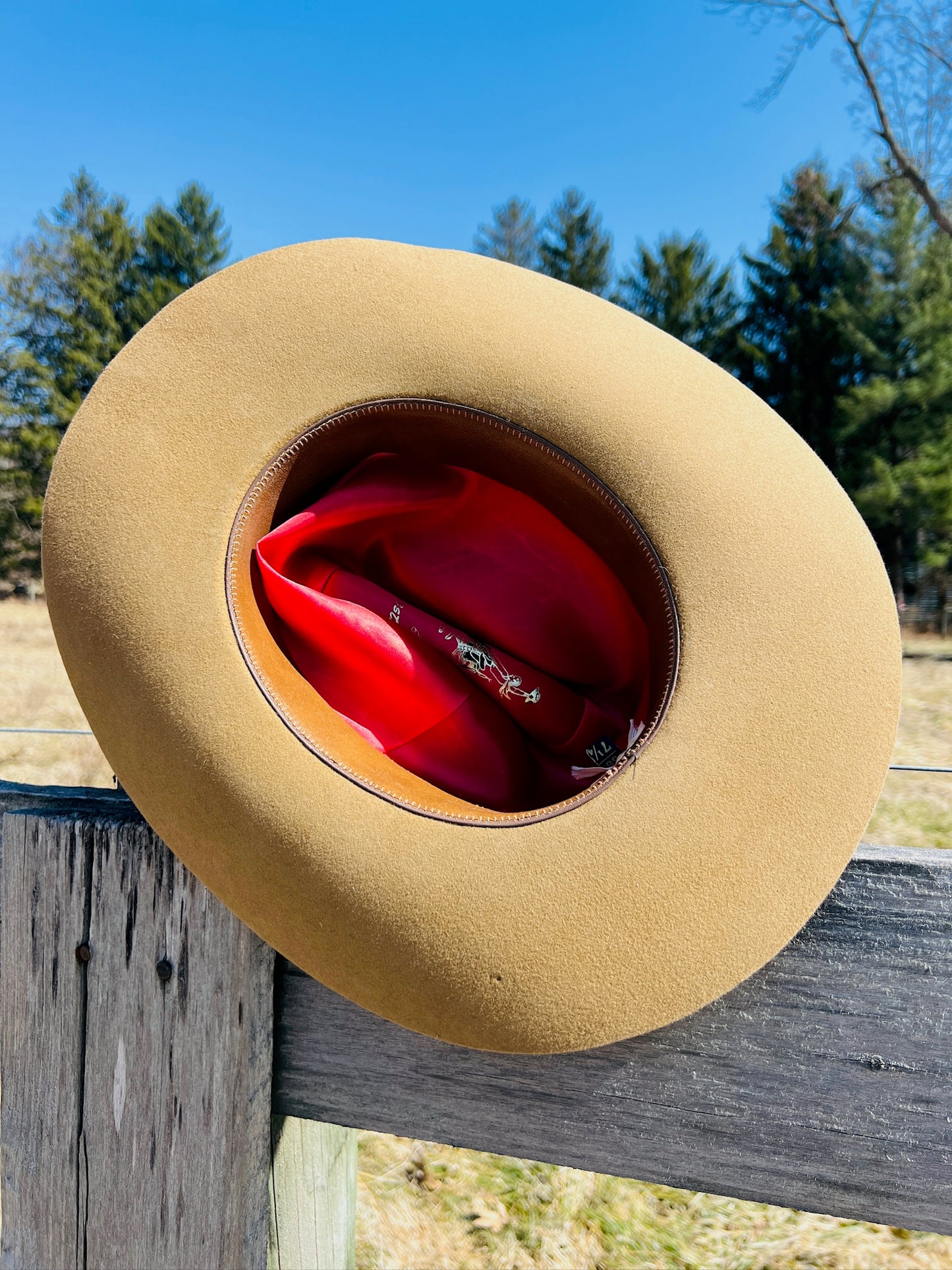 Vintage 1970s The Westerner Tan Cowboy Hat