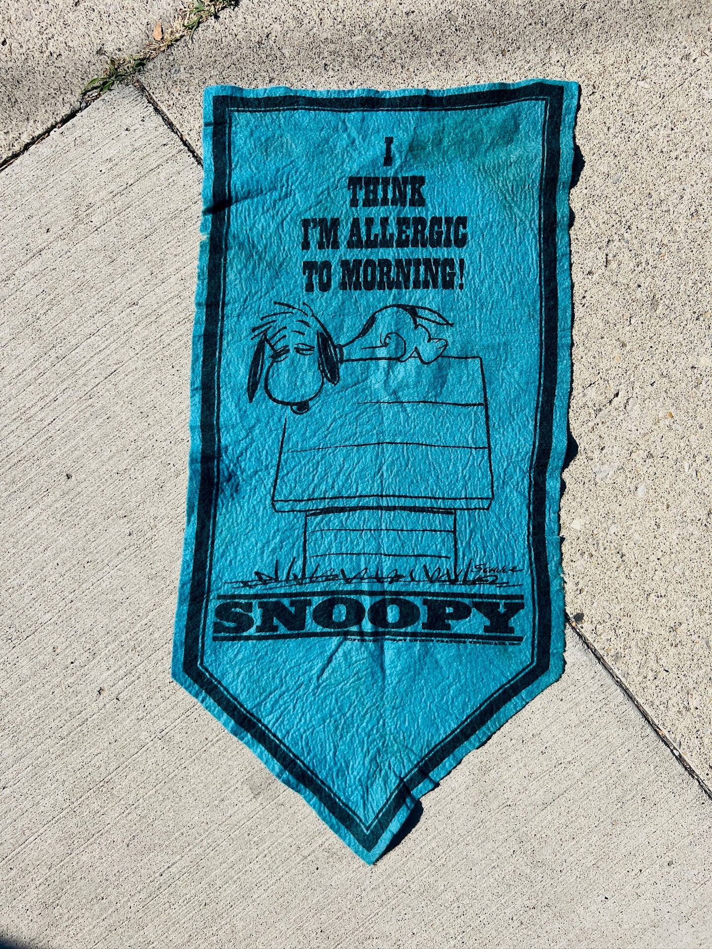 Vintage Snoopy “I Think I’m Allergic To Morning!” Felt Pennant