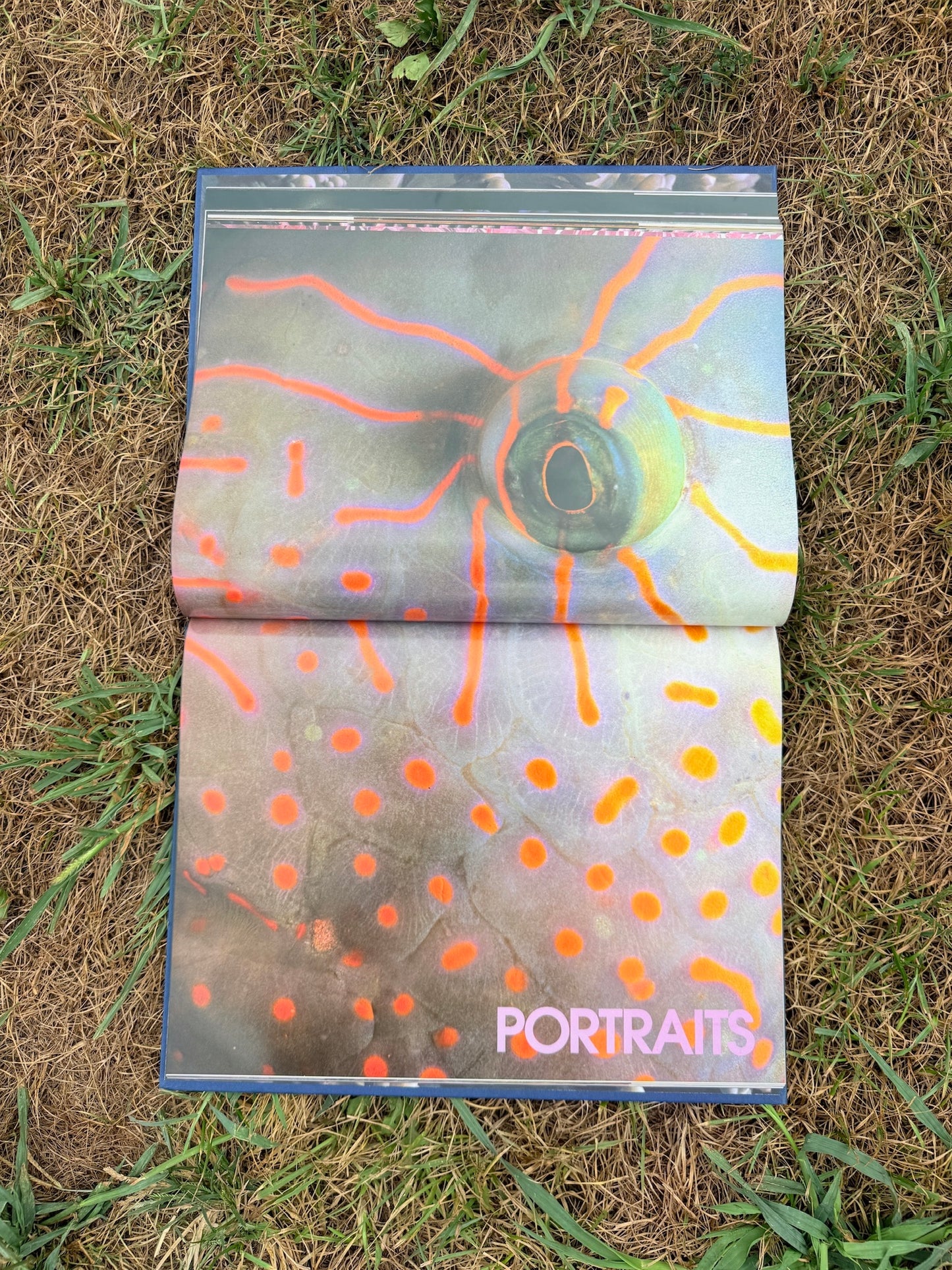 Colors of the Deep Photography Book