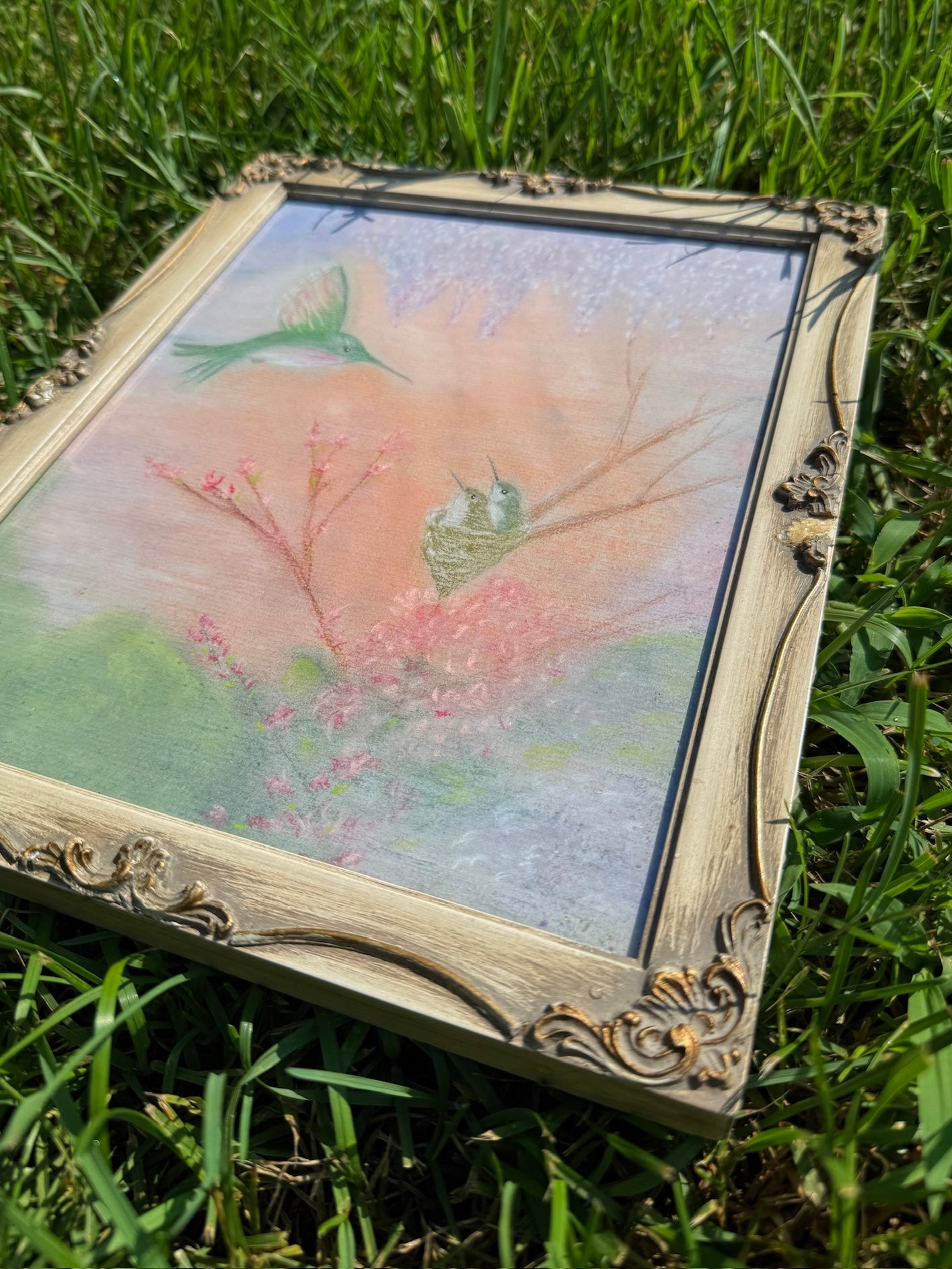 Vintage 1950s Framed Hummingbird + Nest Drawing Artwork