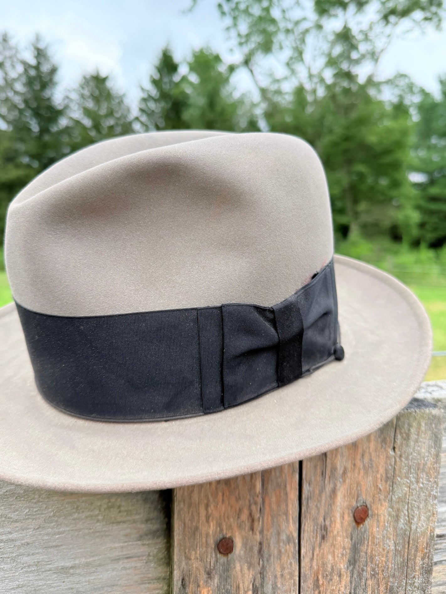 Vintage 1950s Resistol Grey Kitten Finish Beaver Fedora Hat