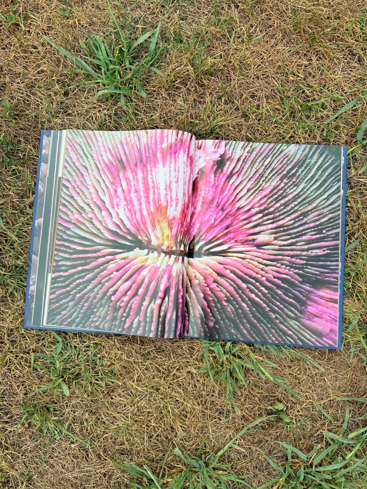 Colors of the Deep Photography Book